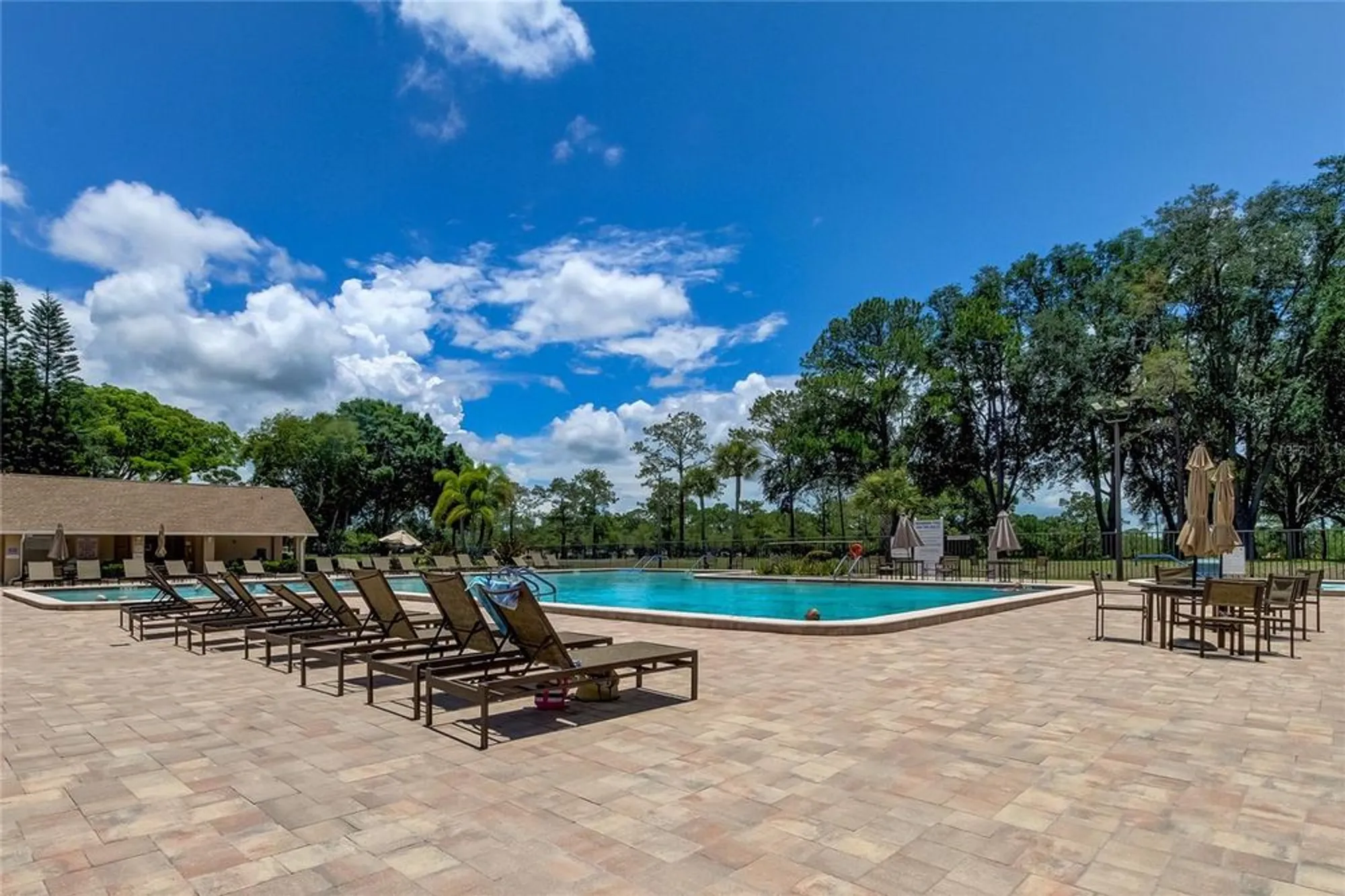 Property Slideshow image 38 of 44 | 3283 hilary cir 2c, Palm Harbor, FL, 34684