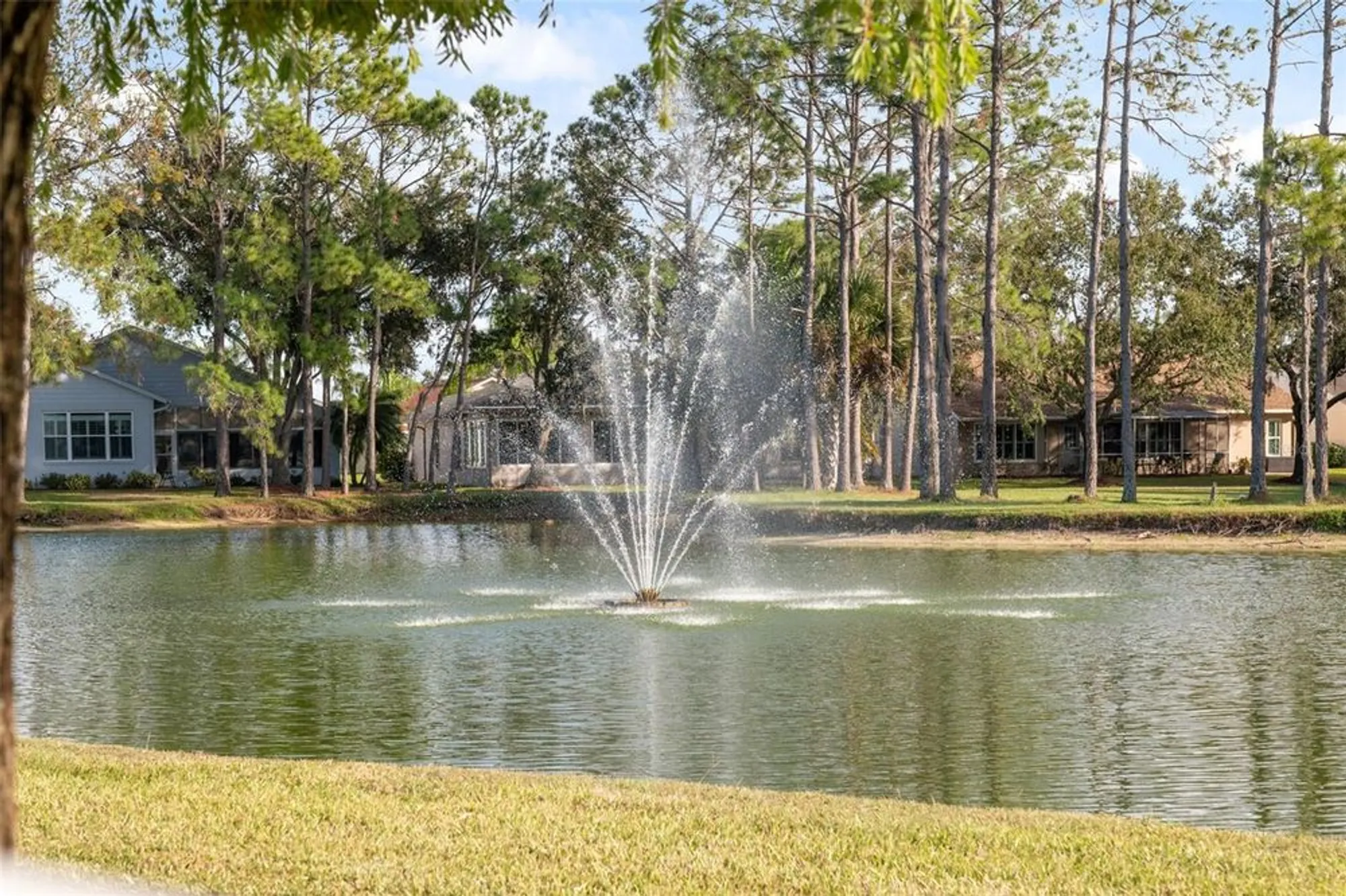 Property Slideshow image 58 of 78 | 1201 dustan pl, Trinity, FL, 34655