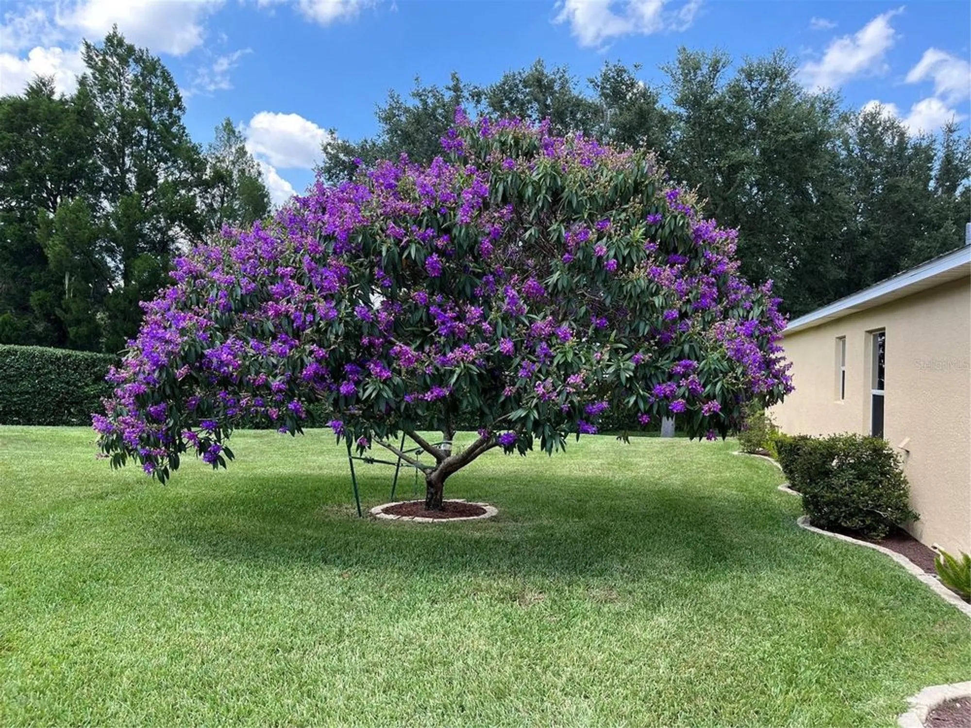 Property Slideshow image 5 of 80 | 4016 carteret dr, Winter Haven, FL, 33884