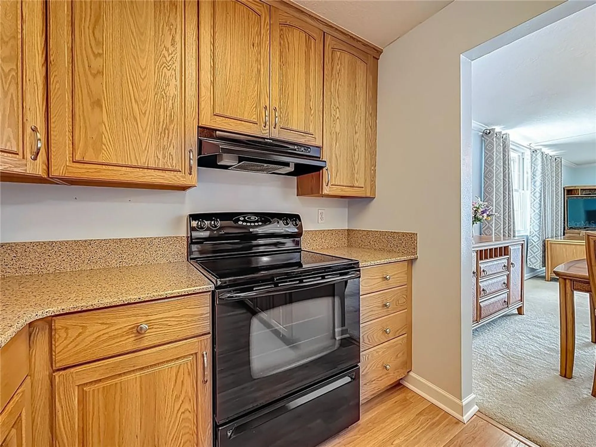 Property Slideshow image 17 of 57 | 7665 sun island dr 206, South Pasadena, FL, 33707