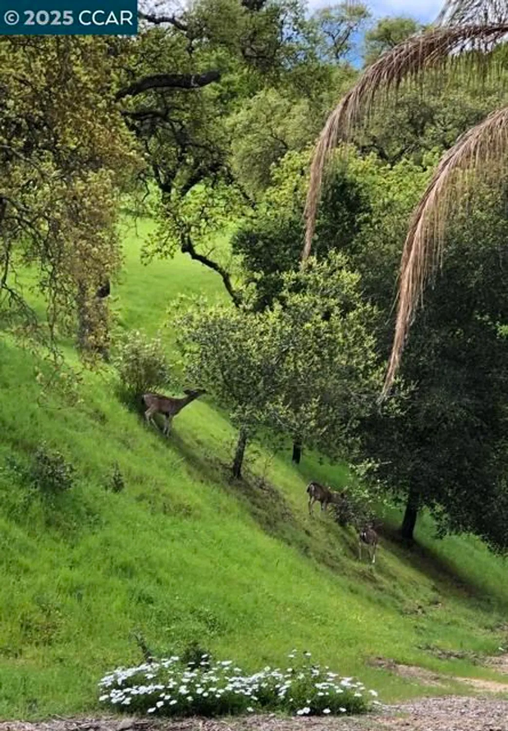 Property Slideshow image 42 of 48 | 2933 ptarmigan dr 3, Walnut Creek, CA, 94595