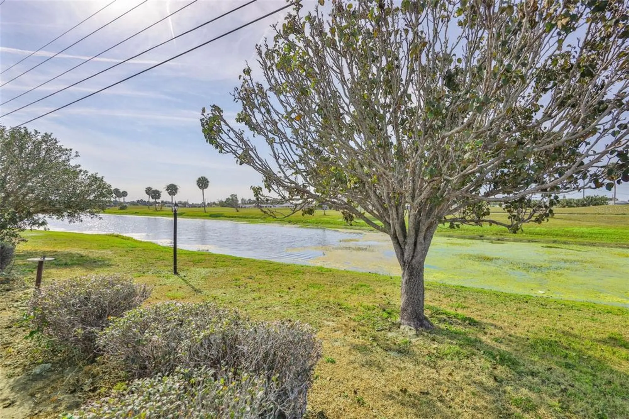 Property Slideshow image 43 of 63 | 1502 desert hills dr, Sun City Center, FL, 33573