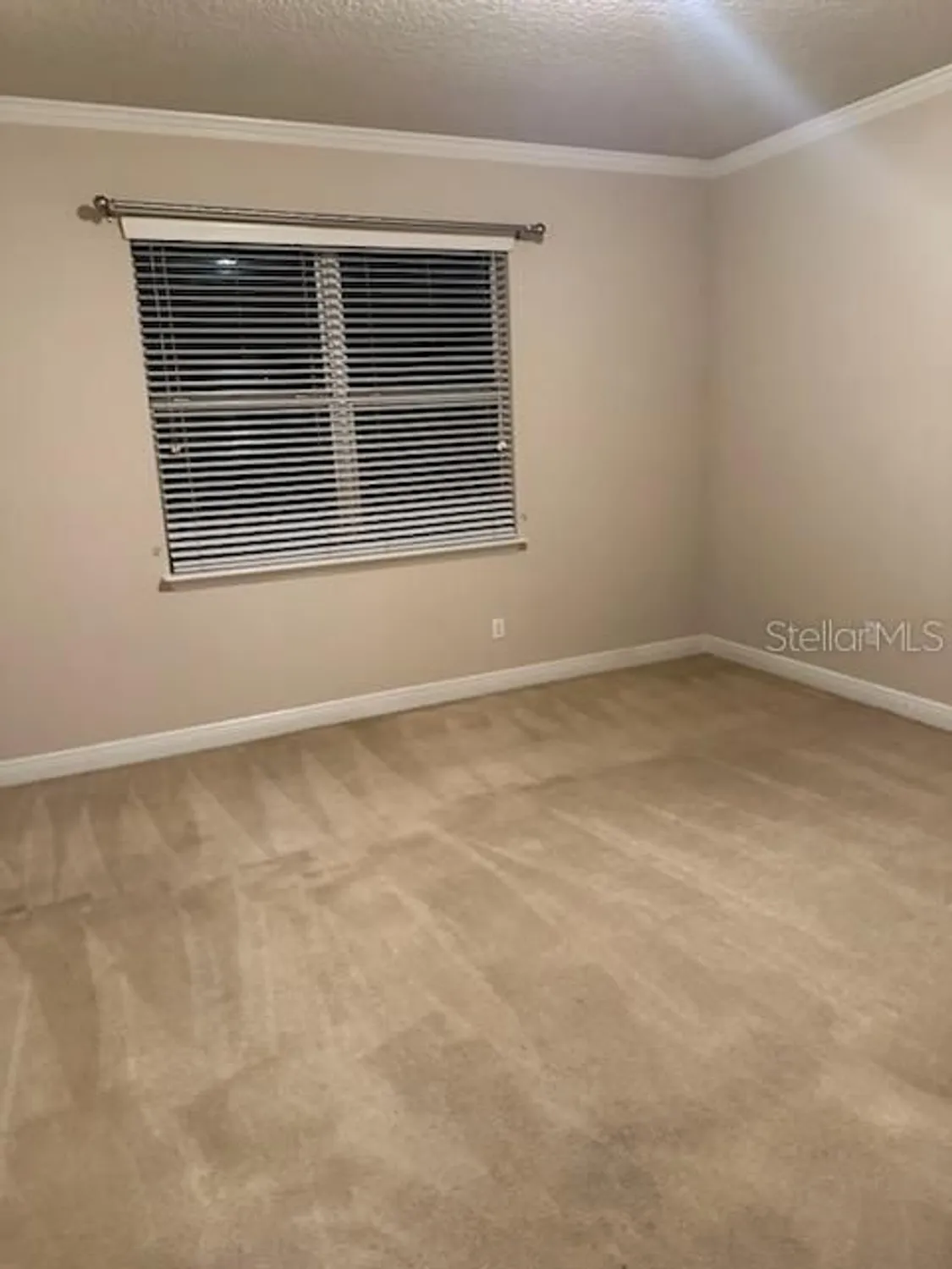 Property Slideshow image 49 of 71 | 22004 belgian ct, Mount Dora, FL, 32757