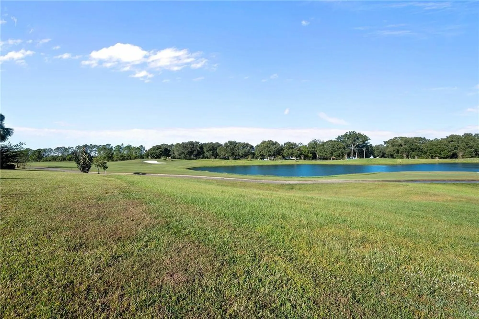 Property Slideshow image 55 of 71 | 13301 thoroughbred dr, Dade City, FL, 33525