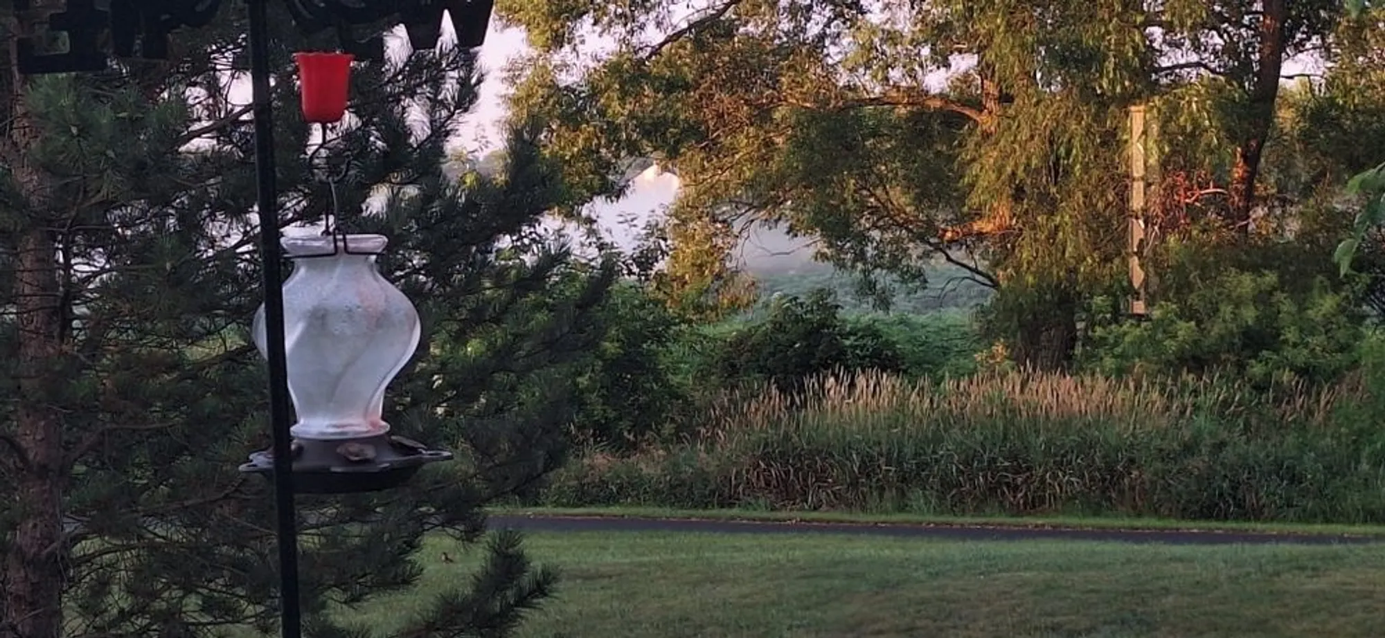 Property Slideshow image 34 of 49 | 12255 wildflower ln, Huntley, IL, 60142