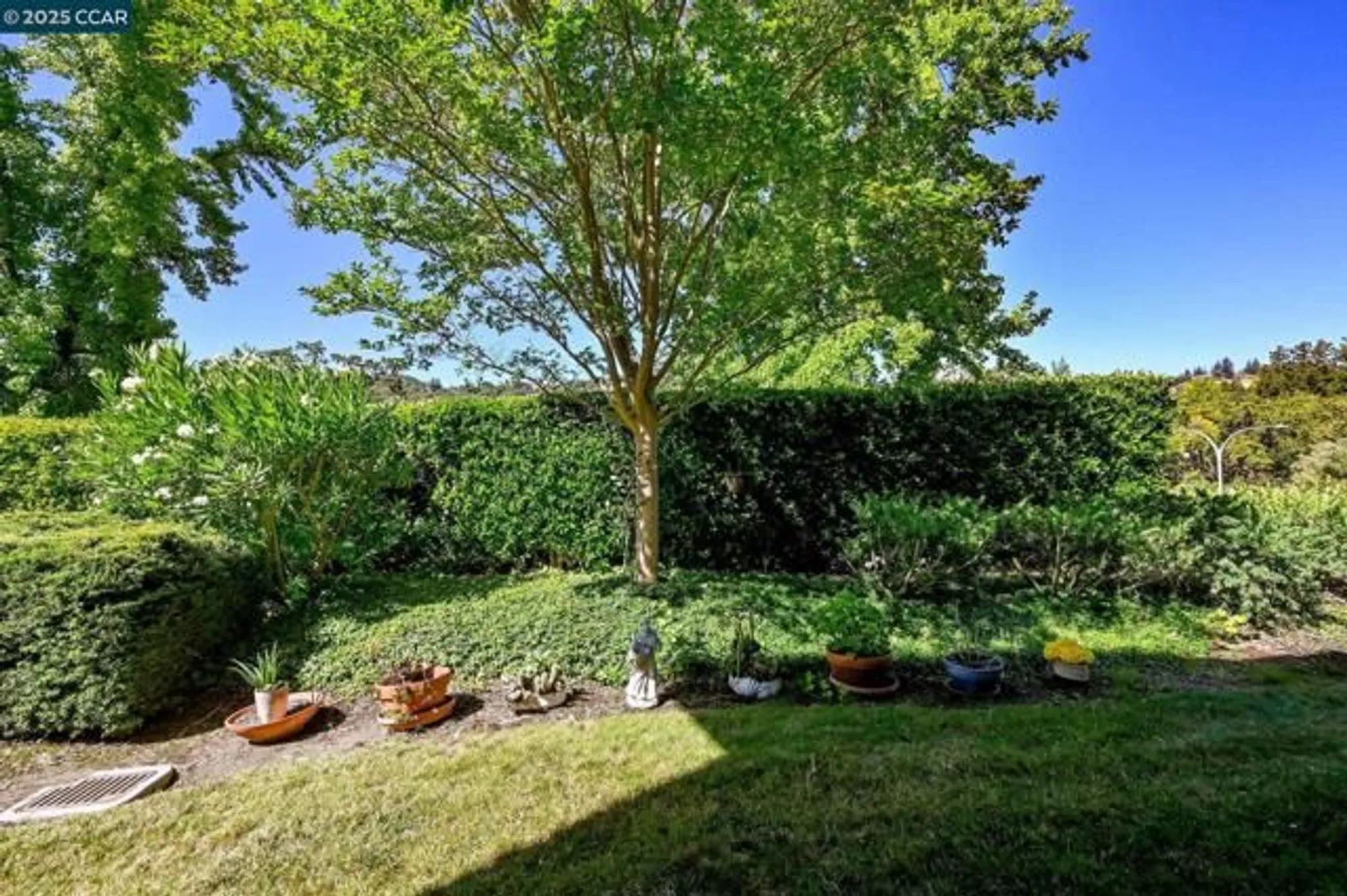 Property Slideshow image 4 of 33 | 2055 cactus ct 2, Walnut Creek, CA, 94595