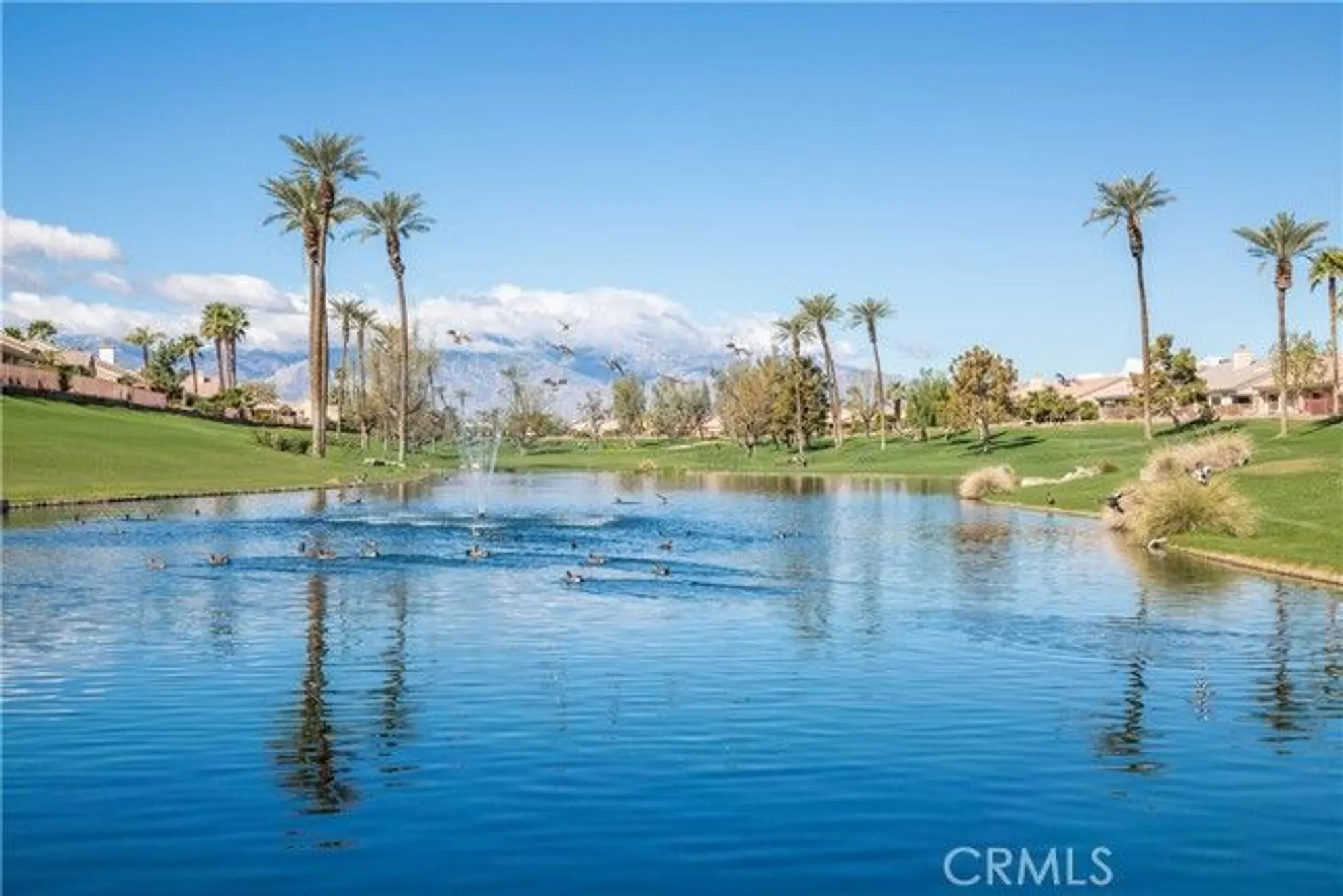 Property Slideshow image 30 of 32 | 38217 grand oaks ave, Palm Desert, CA, 92211