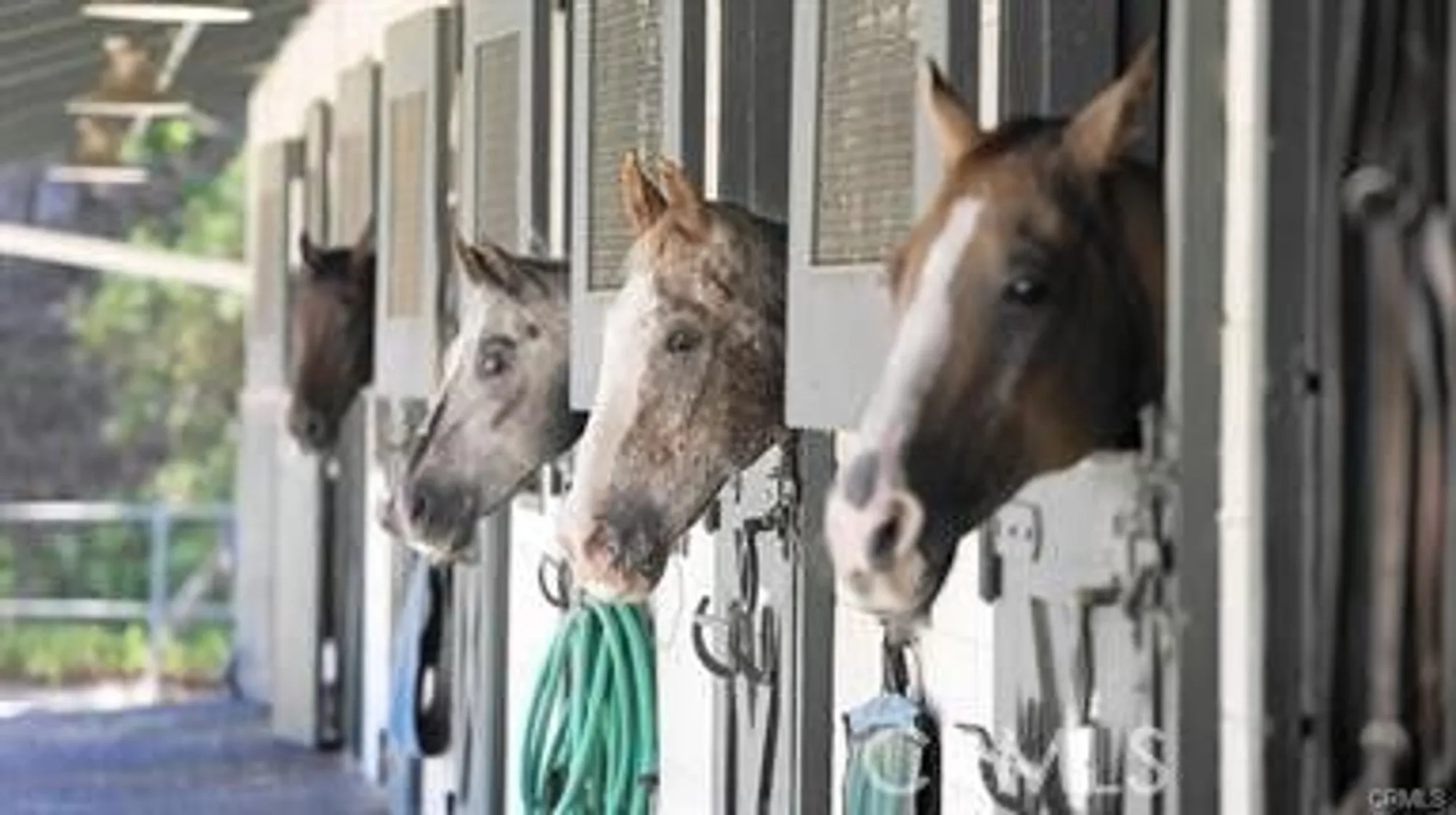 Property Slideshow image 32 of 38 | 5369 algarrobo 1g, Laguna Woods, CA, 92637