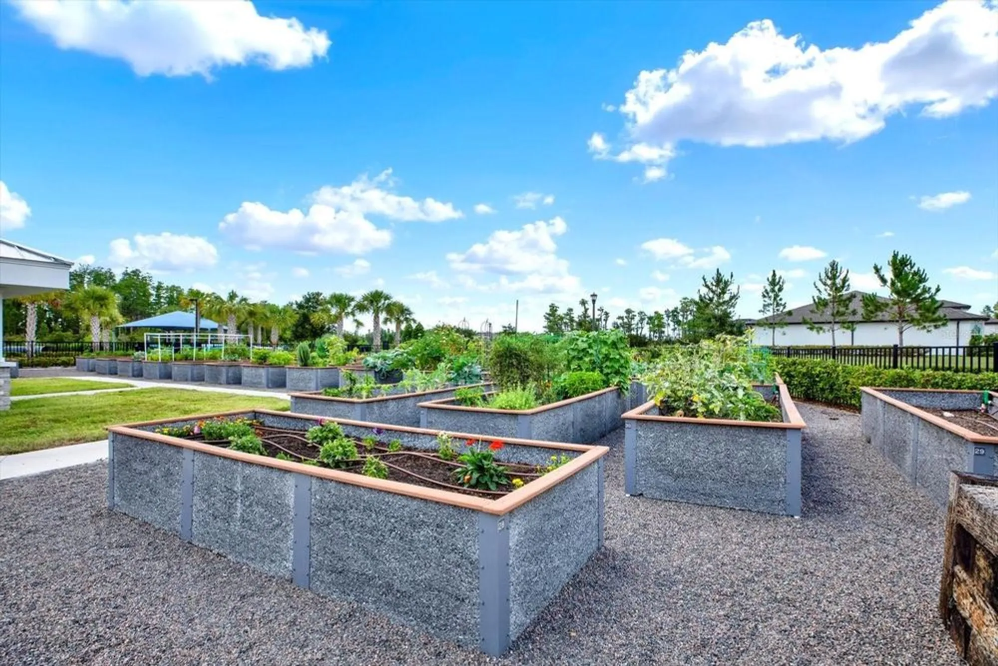 Property Slideshow image 41 of 42 | 6019 shorebird br, Land O Lakes, FL, 34638