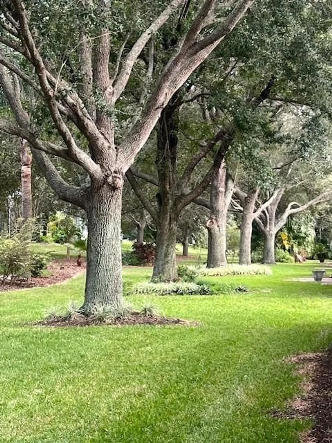 Property Slideshow image 32 of 64 | 1107 everest st, Clermont, FL, 34711