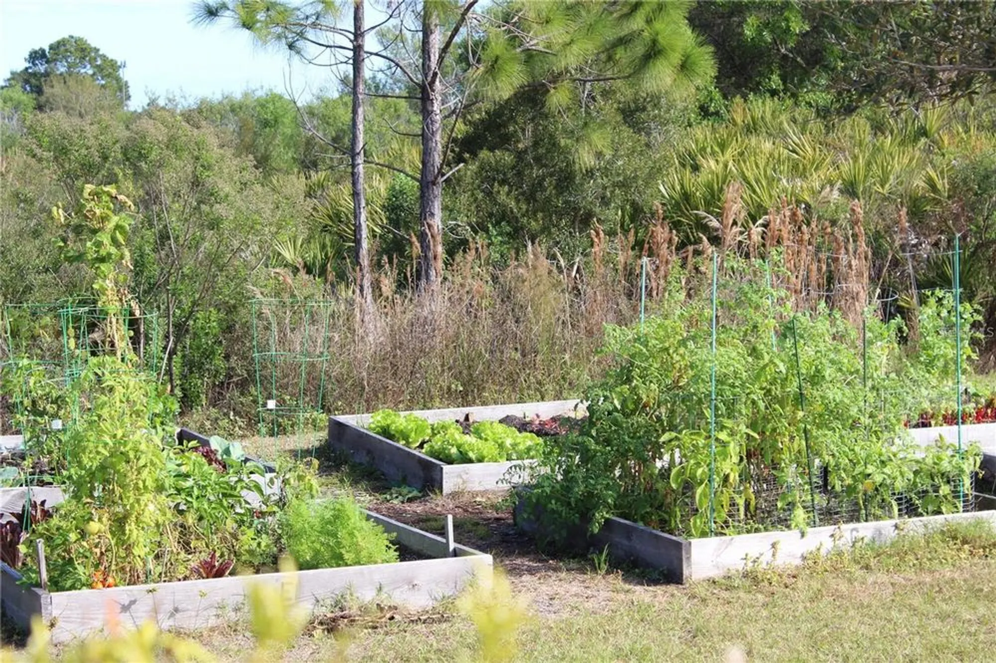 Property Slideshow image 70 of 77 | 2478 brassica dr, North Port, FL, 34289