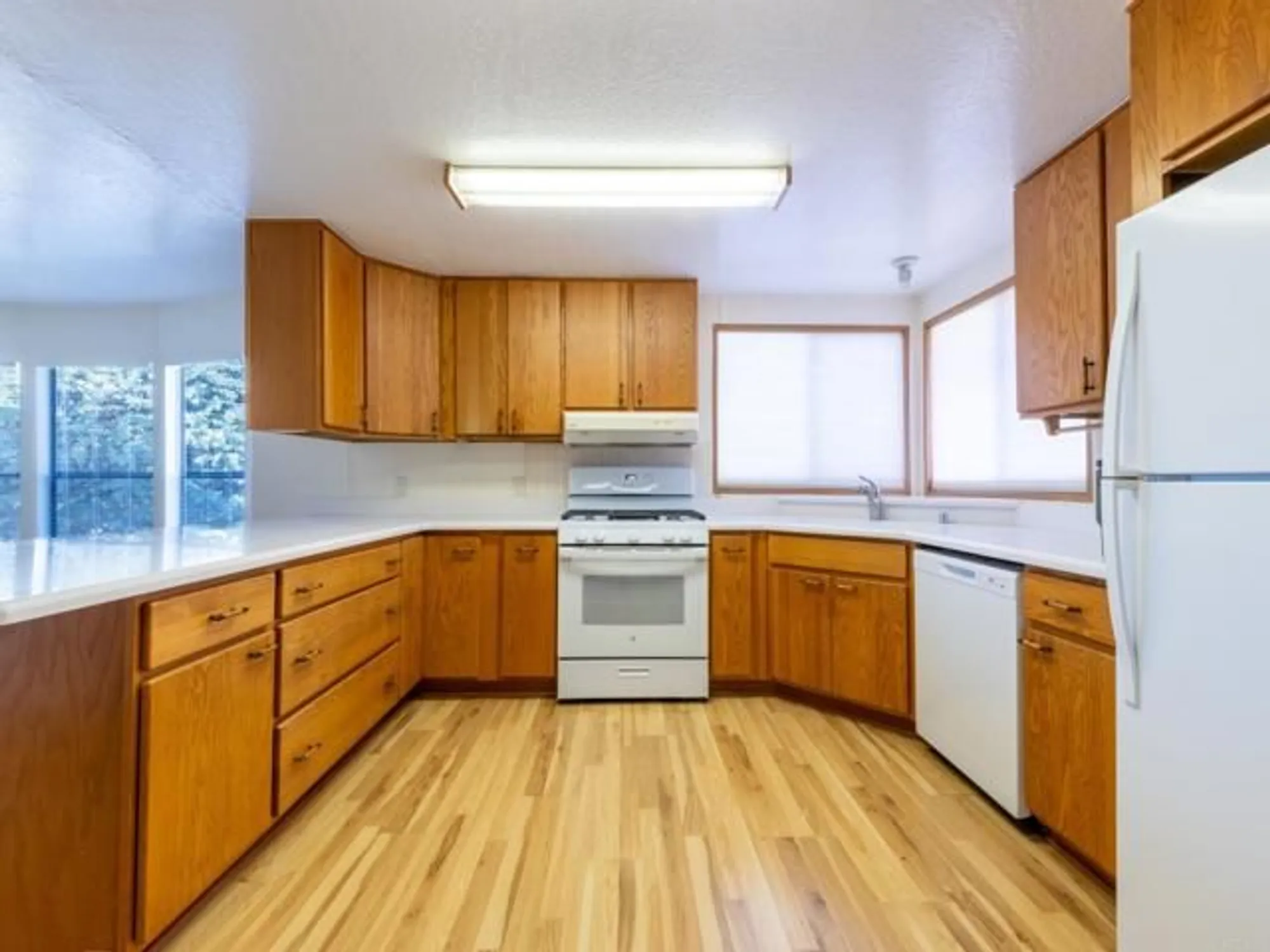 Property Slideshow image 13 of 37 | 2289 bryant dr, Carlsbad, CA, 92008