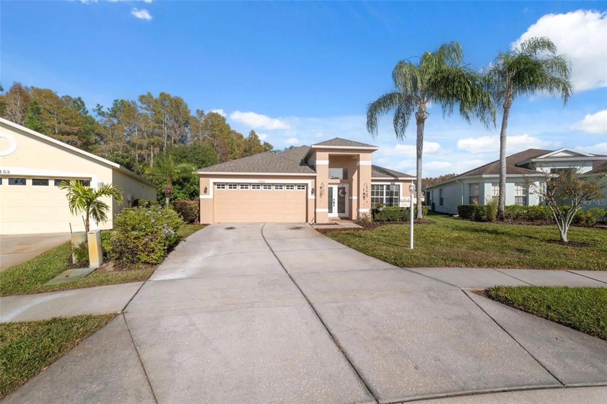 Property Slideshow image 41 of 78 | 1201 dustan pl, Trinity, FL, 34655