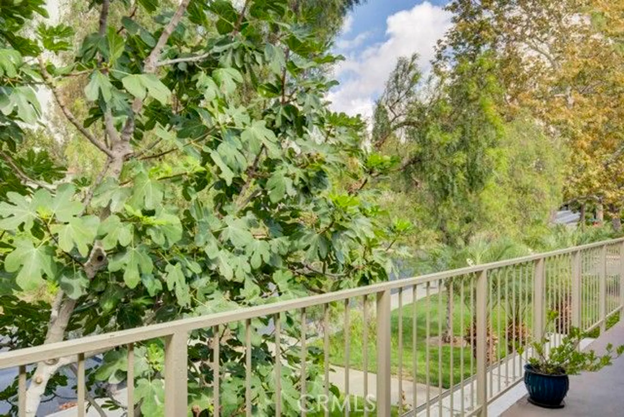 Property Slideshow image 6 of 41 | 662 via los altos n, Laguna Woods, CA, 92637