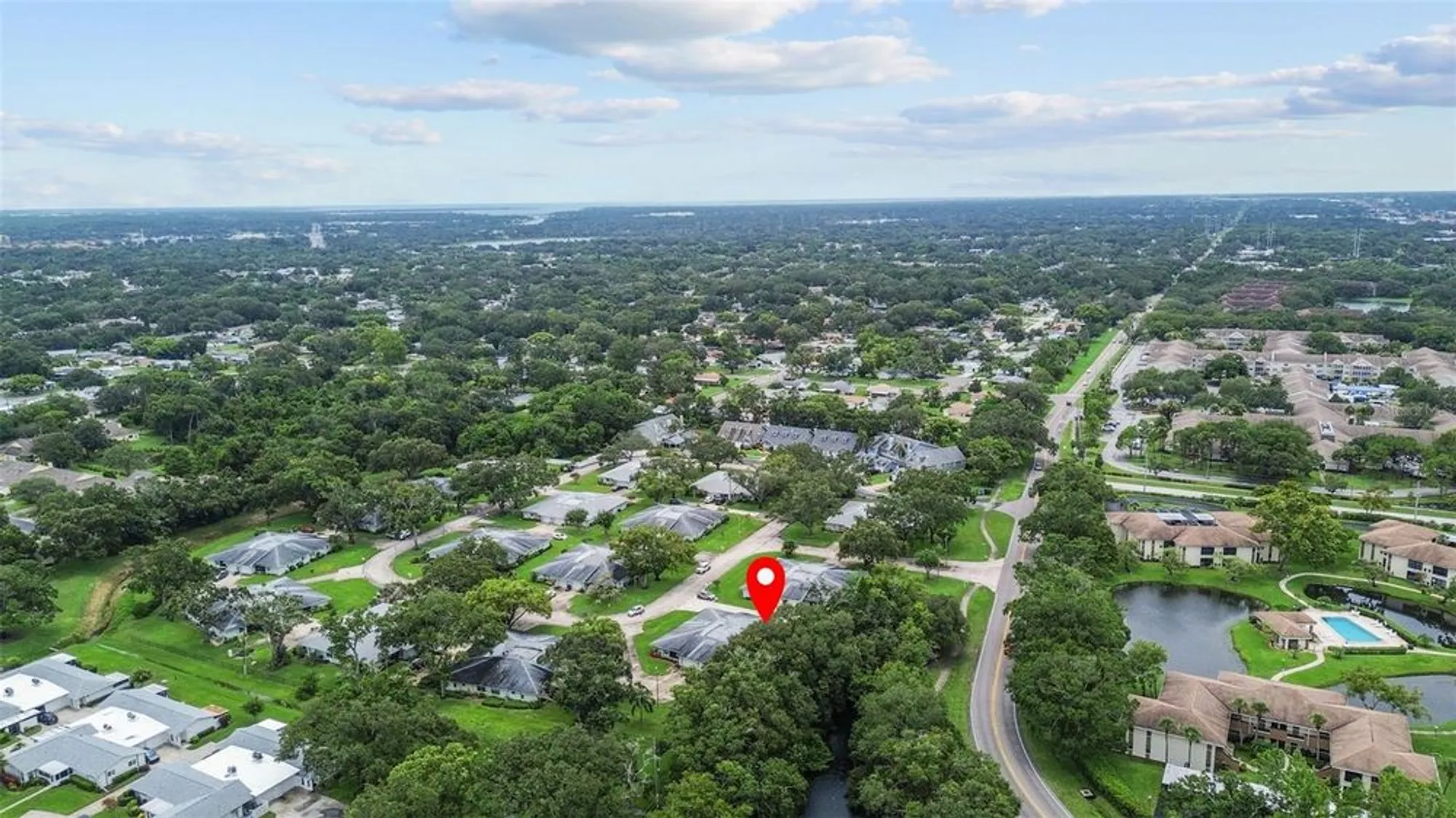 Property Slideshow image 35 of 36 | 1163 orange tree cir d, Palm Harbor, FL, 34684