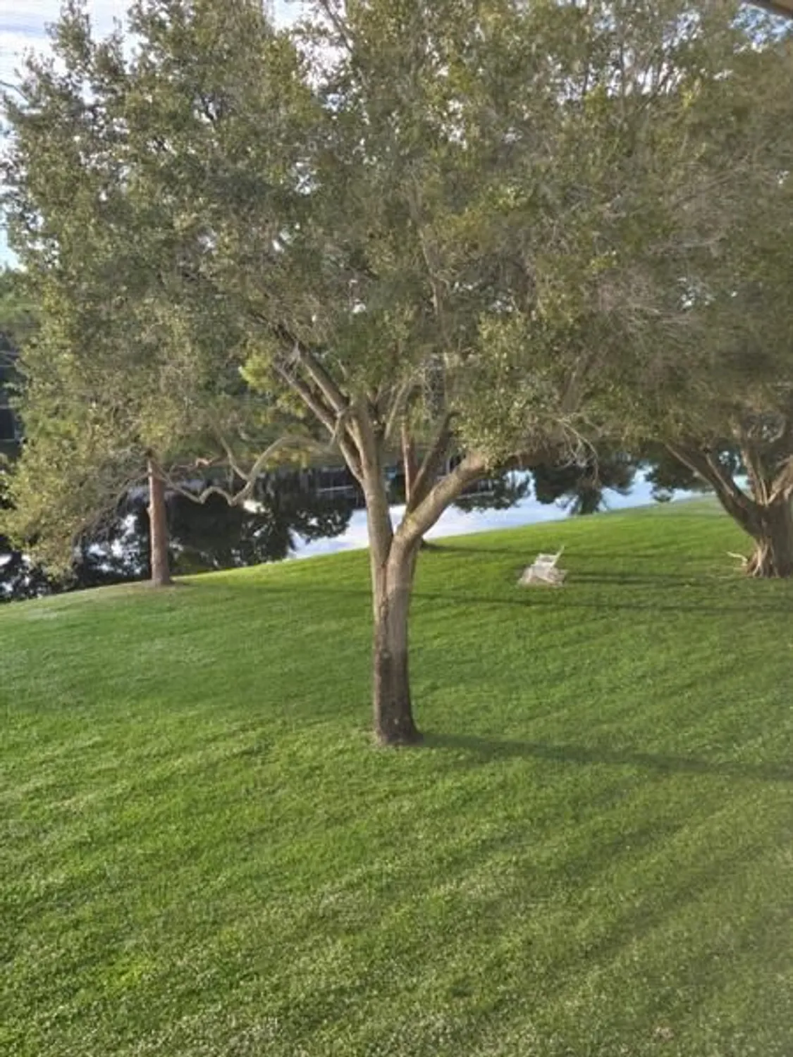 Property Slideshow image 15 of 84 | 3011 westbury f # 3011, Deerfield Beach, FL, 33442