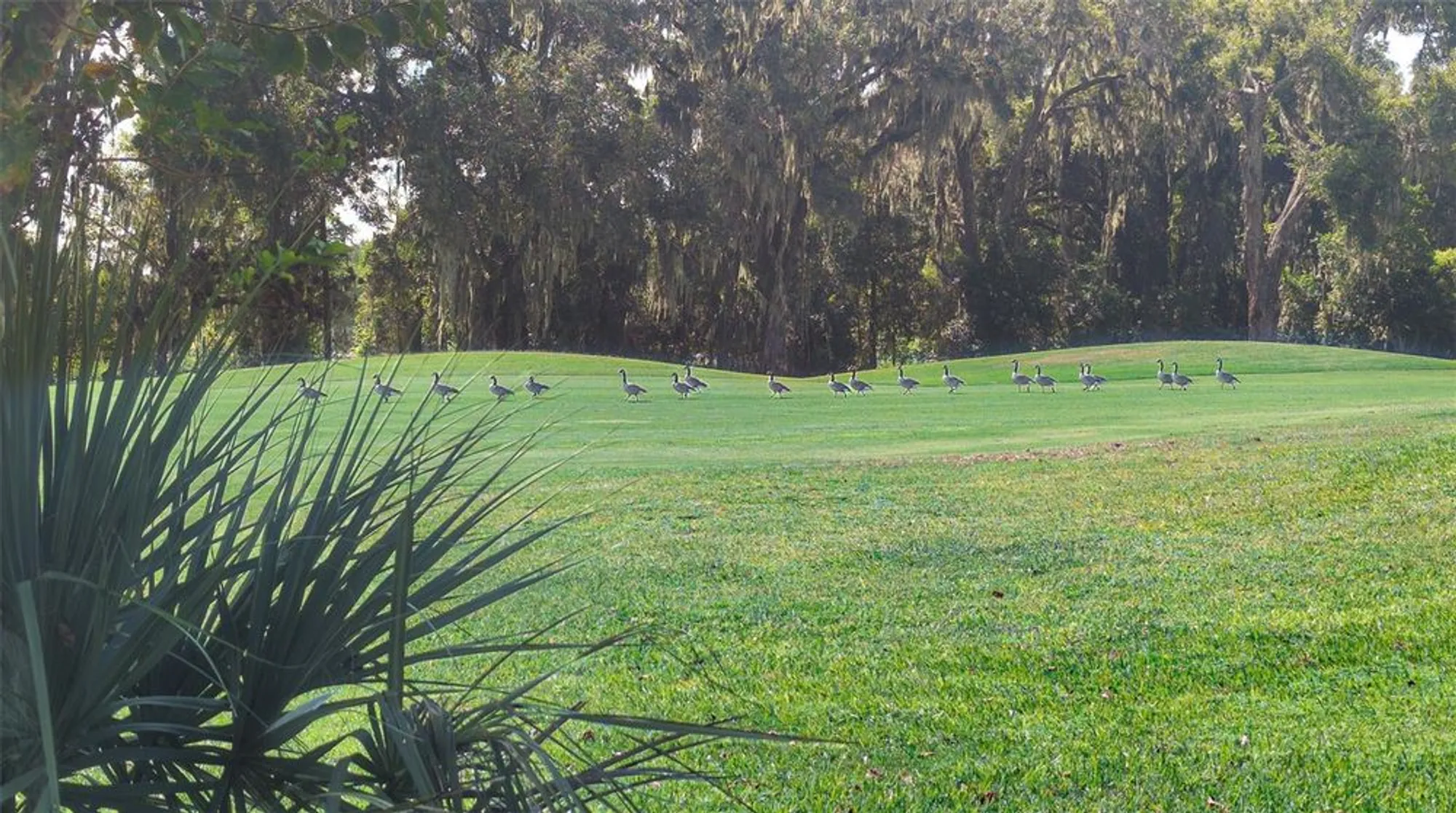 Property Slideshow image 34 of 36 | 5064 nw 18th st, Ocala, FL, 34482