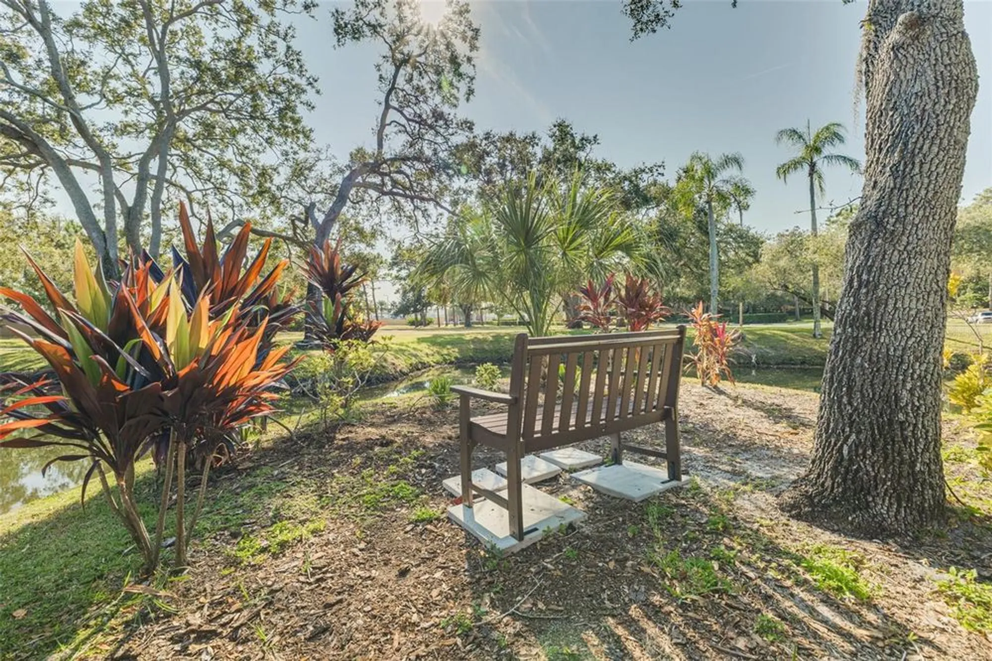 Property Slideshow image 23 of 29 | 3062 eastland blvd 406, Clearwater, FL, 33761