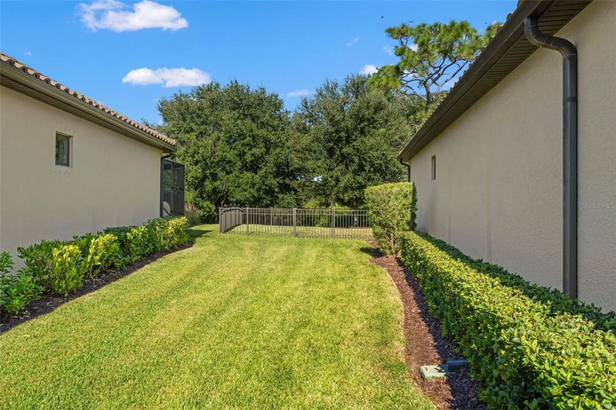 Property Slideshow image 61 of 76 | 11295 juglans dr, Odessa, FL, 33556