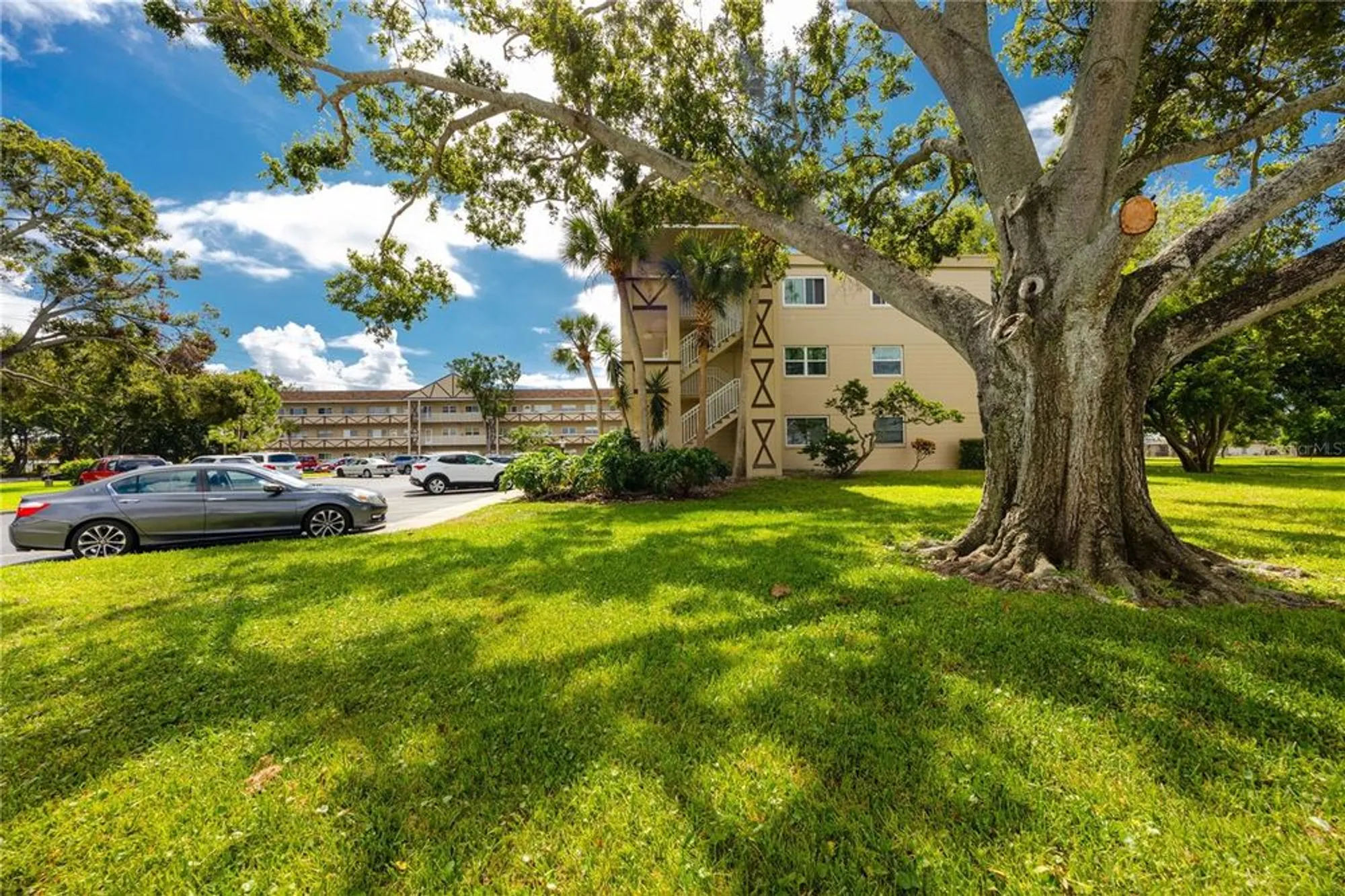 Property Slideshow image 26 of 42 | 2463 brazilia dr apt 39, Clearwater, FL, 33763