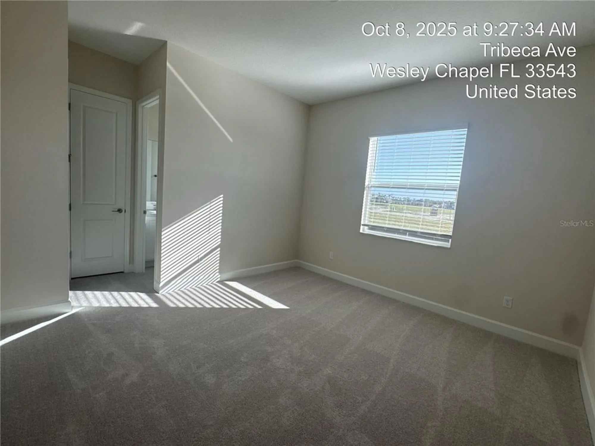 Property Slideshow image 23 of 47 | 32249 tribeca ave, Wesley Chapel, FL, 33543