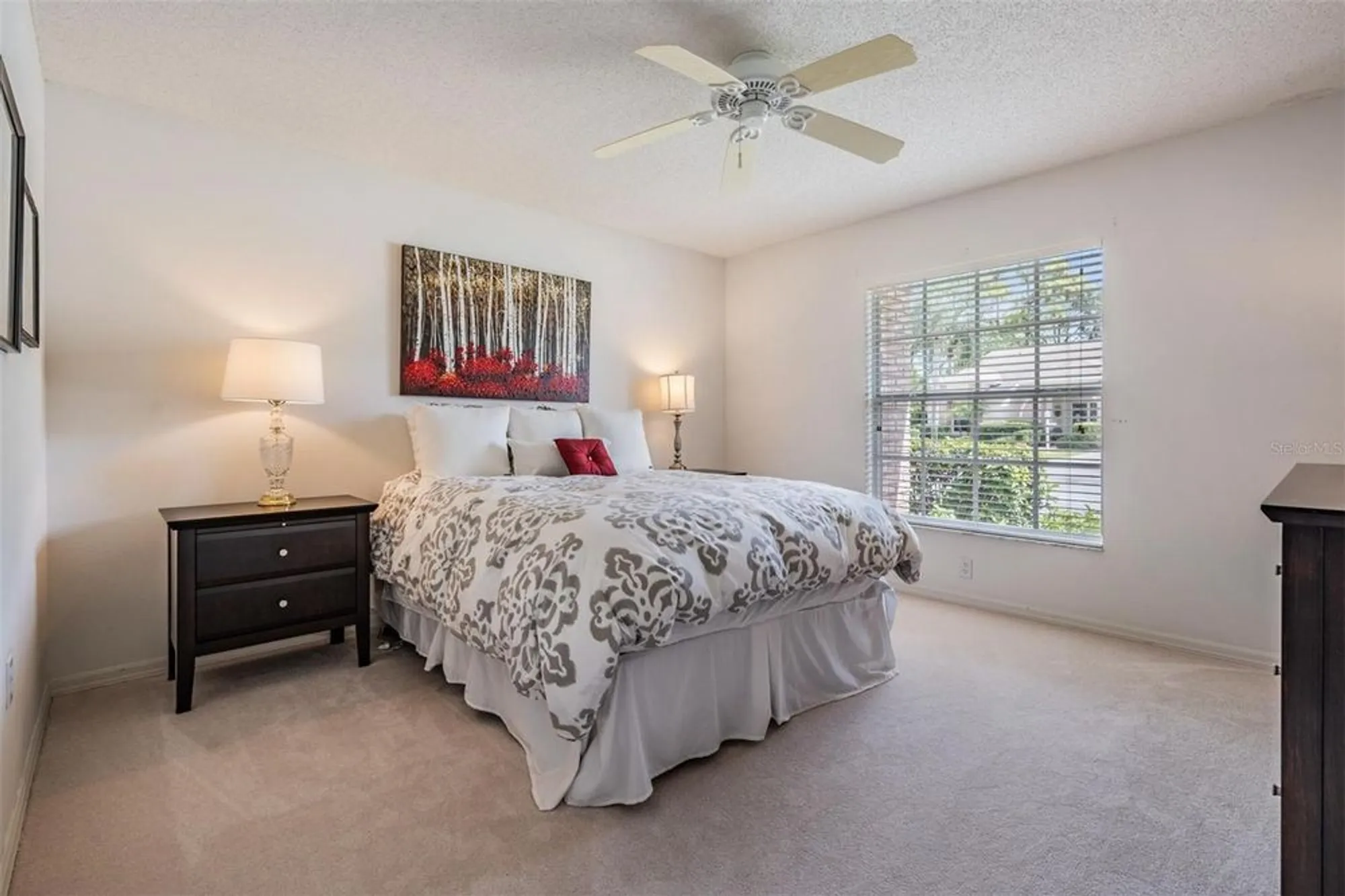 Property Slideshow image 18 of 50 | 1231 flora vista st, Trinity, FL, 34655