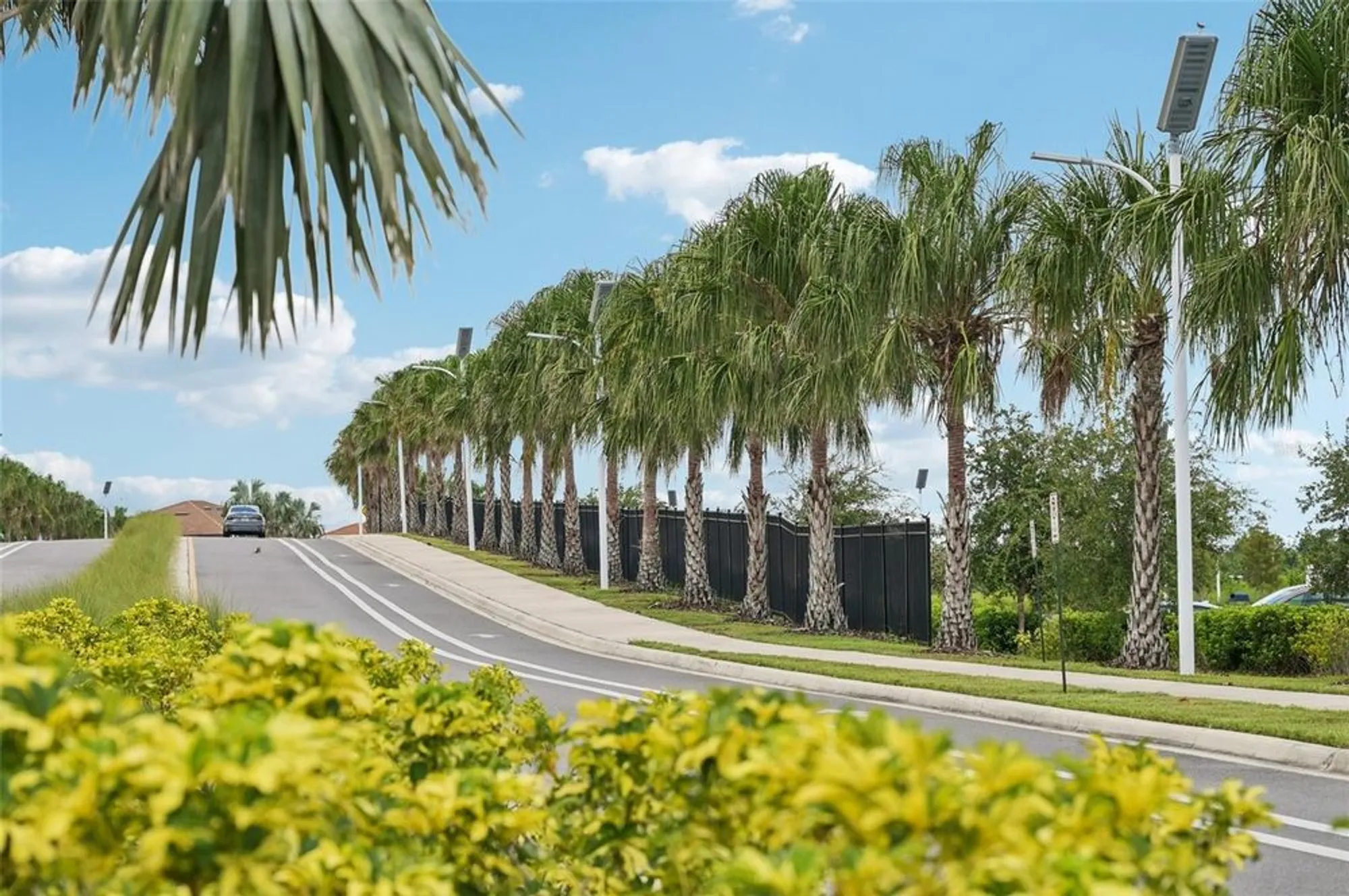 Property Slideshow image 71 of 72 | 17253 star banks st, Wimauma, FL, 33598