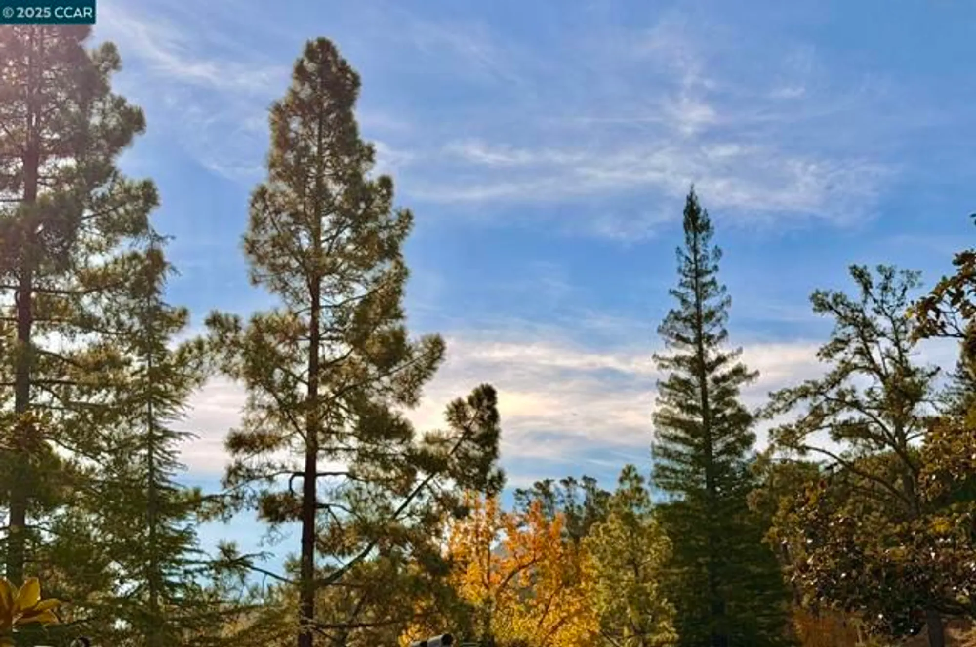 Property Slideshow image 3 of 36 | 1324 singingwood ct 3, Walnut Creek, CA, 94595