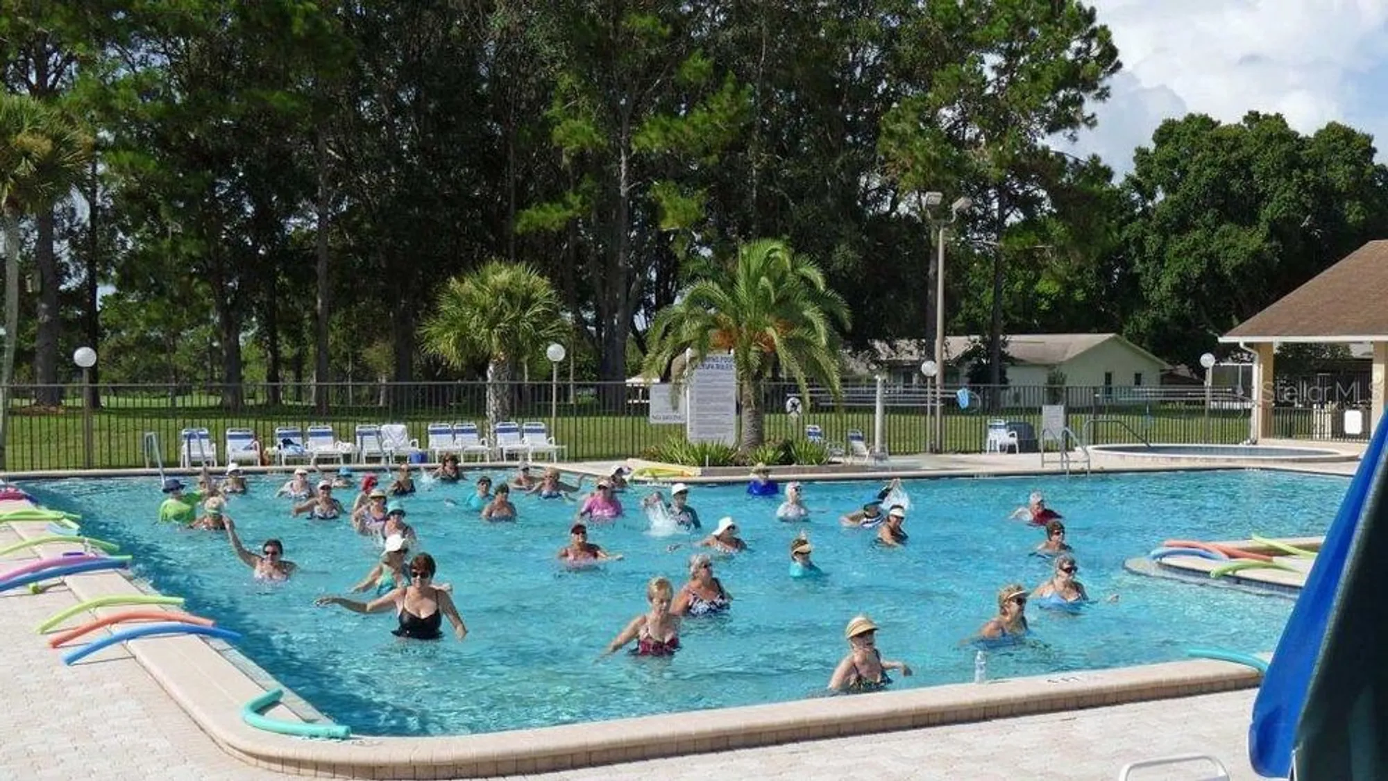 Property Slideshow image 39 of 44 | 3283 hilary cir 2c, Palm Harbor, FL, 34684