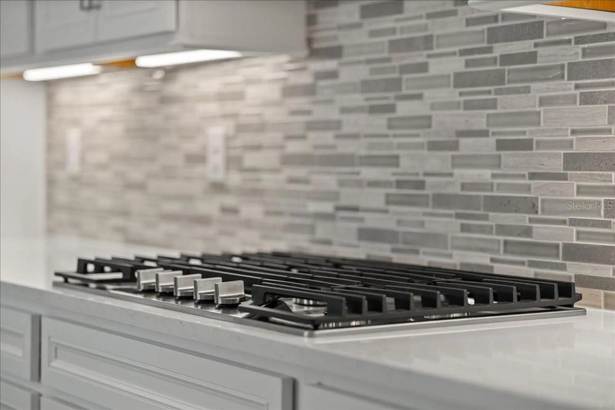 Property Slideshow image 10 of 68 | 9434 ballaster pointe loop, Parrish, FL, 34219