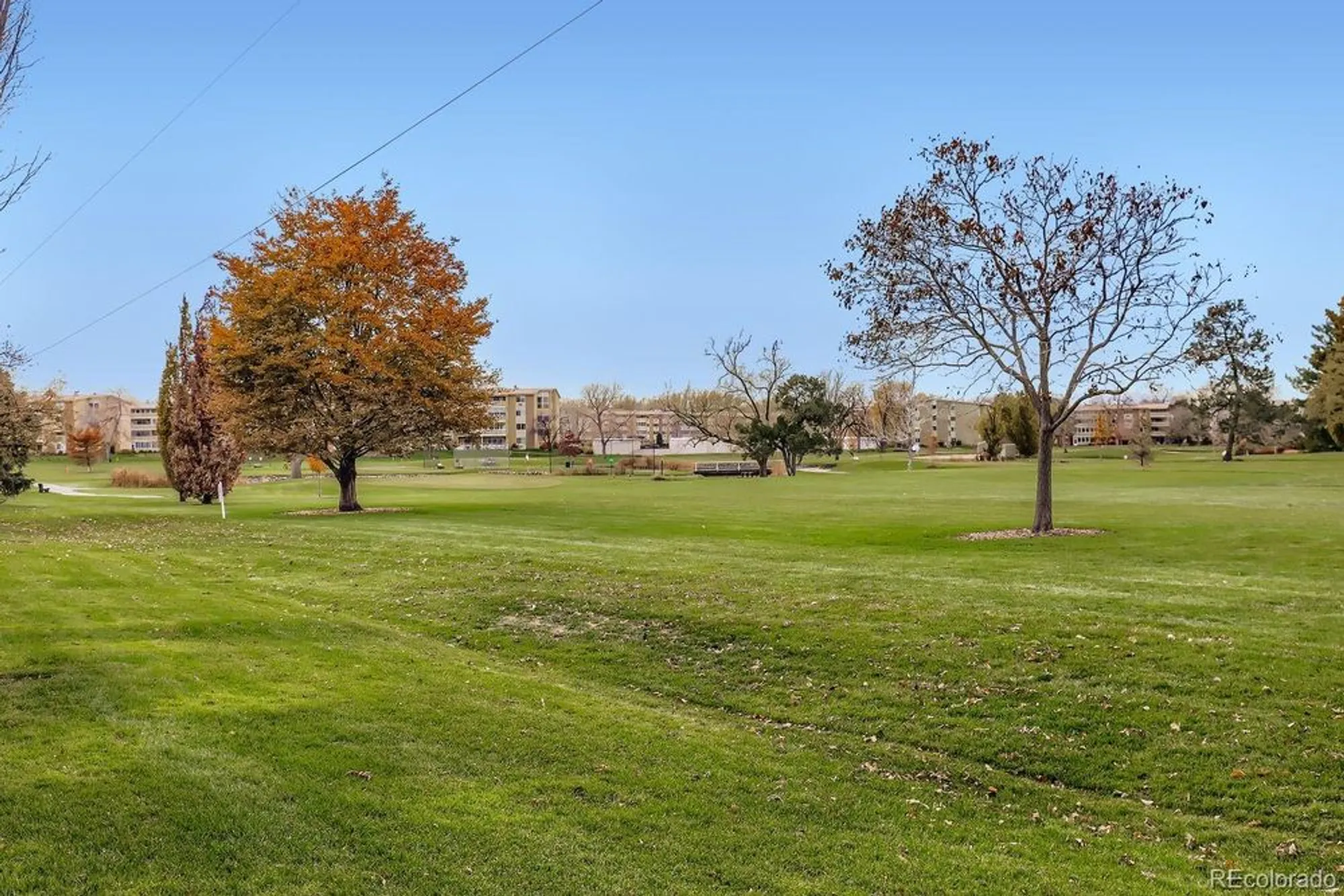 Property Slideshow image 6 of 24 | 625 s clinton st 7b, Denver, CO, 80247