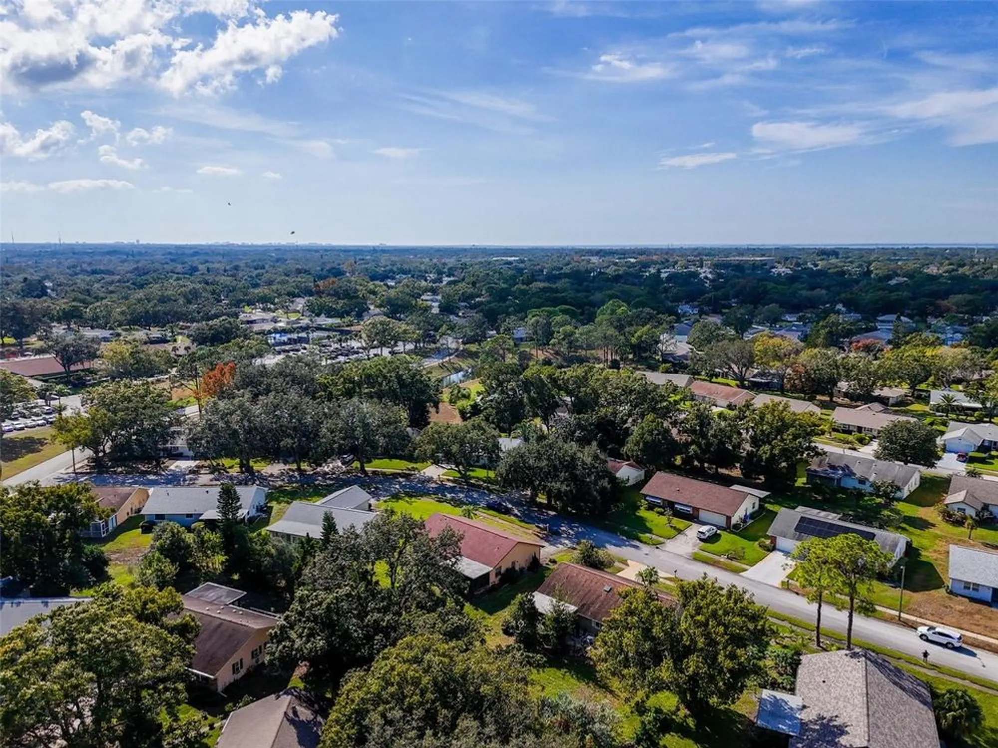 Property Slideshow image 48 of 51 | 1637 caledonia dr, Palm Harbor, FL, 34684