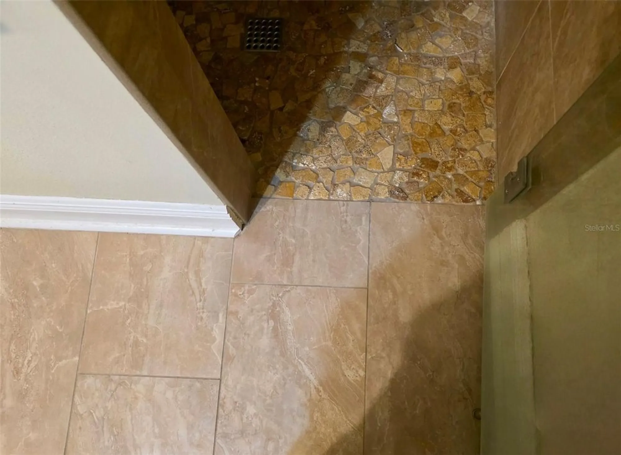 Property Slideshow image 18 of 55 | 29307 schinnecock hills ln, San Antonio, FL, 33576