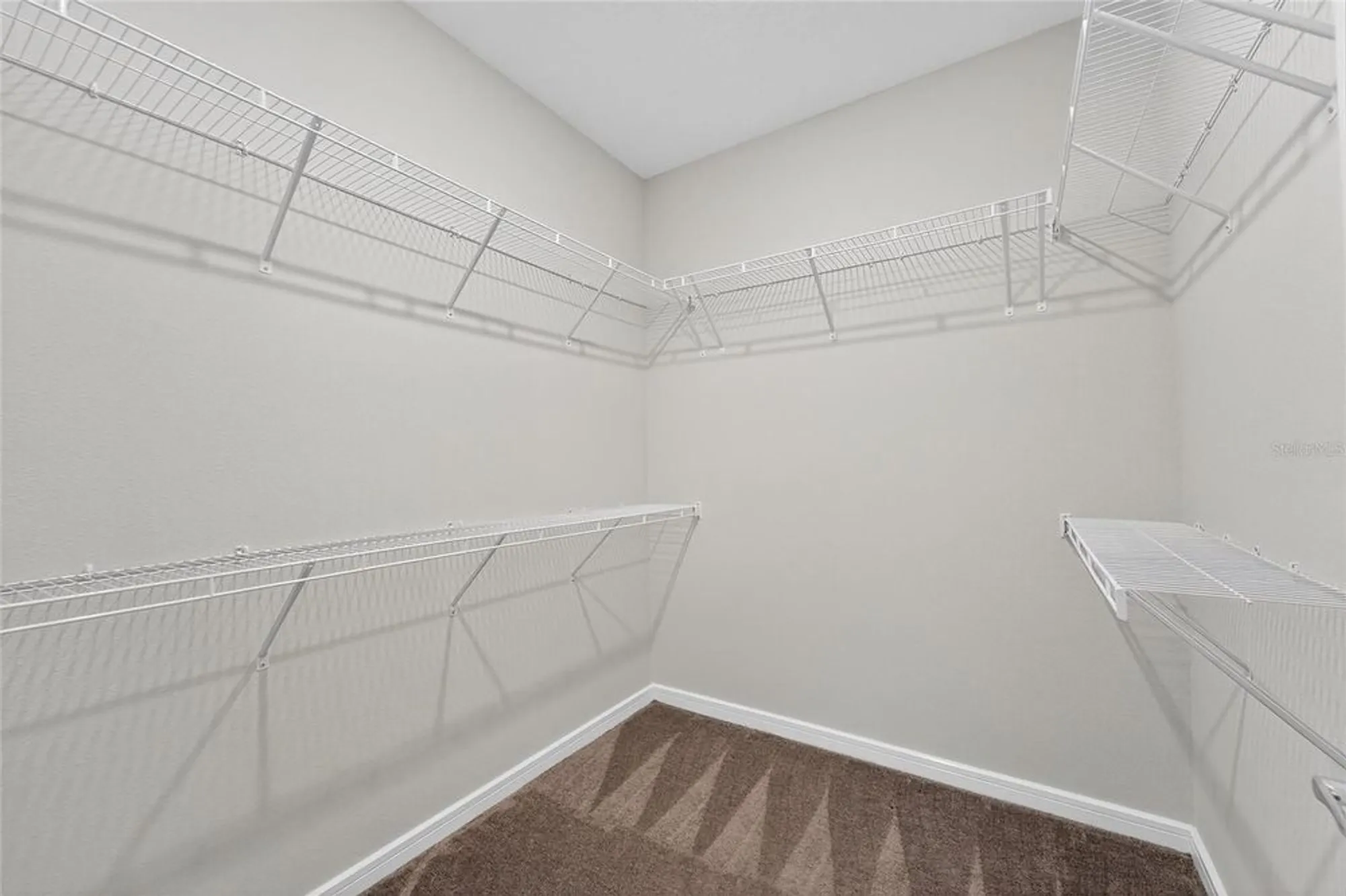 Property Slideshow image 29 of 70 | 5500 blue crush bnd, Land O Lakes, FL, 34638