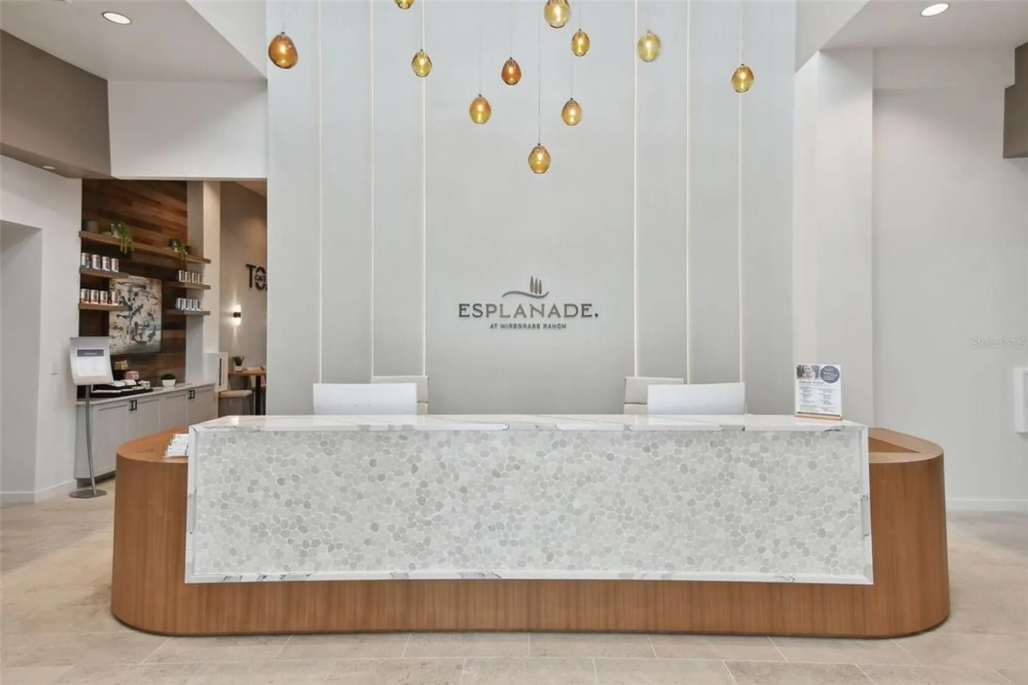 Property Slideshow image 84 of 100 | 29171 ginnetto dr, Wesley Chapel, FL, 33543