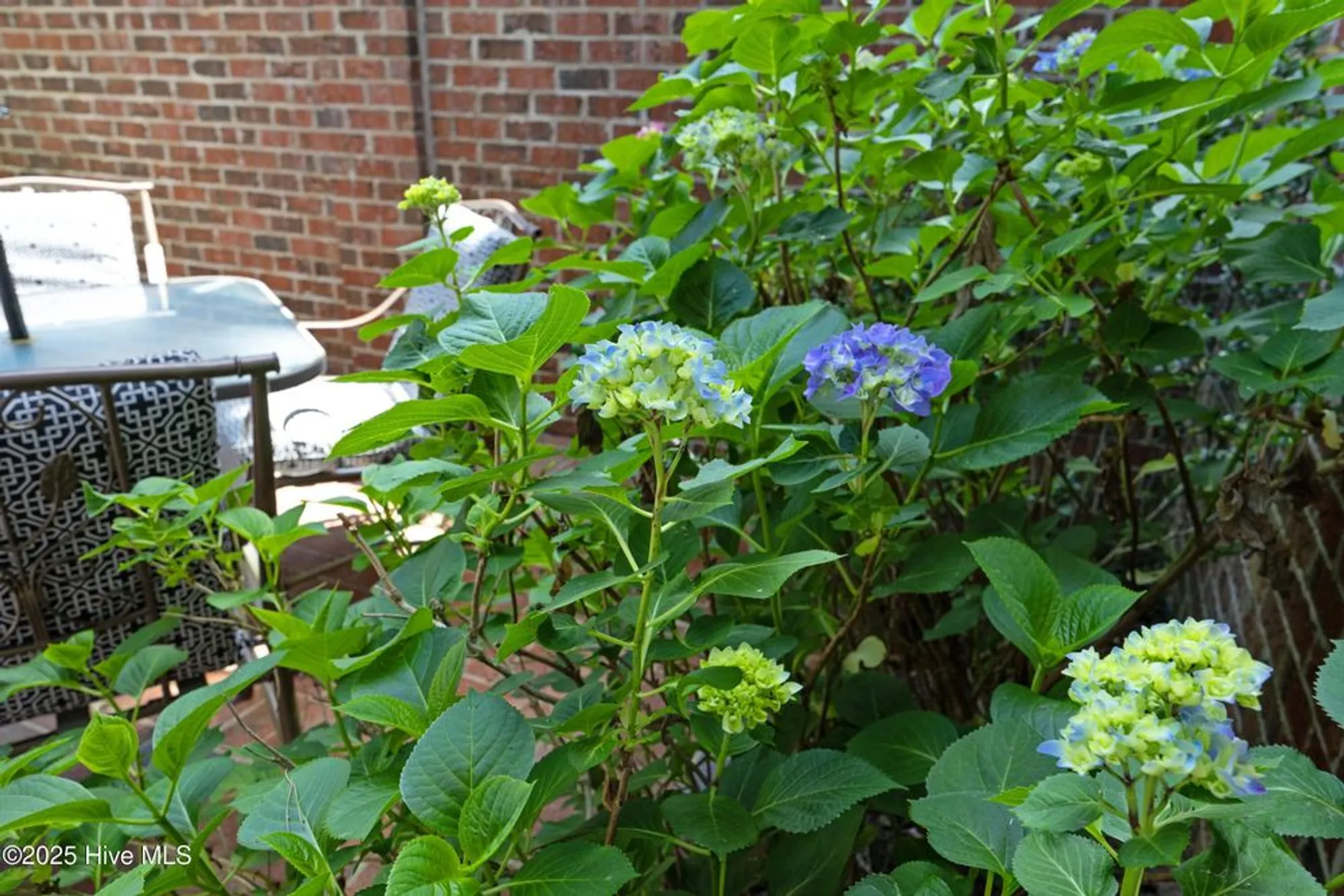 Property Slideshow image 37 of 45 | 3 drayton ct, Southern Pines, NC, 28387