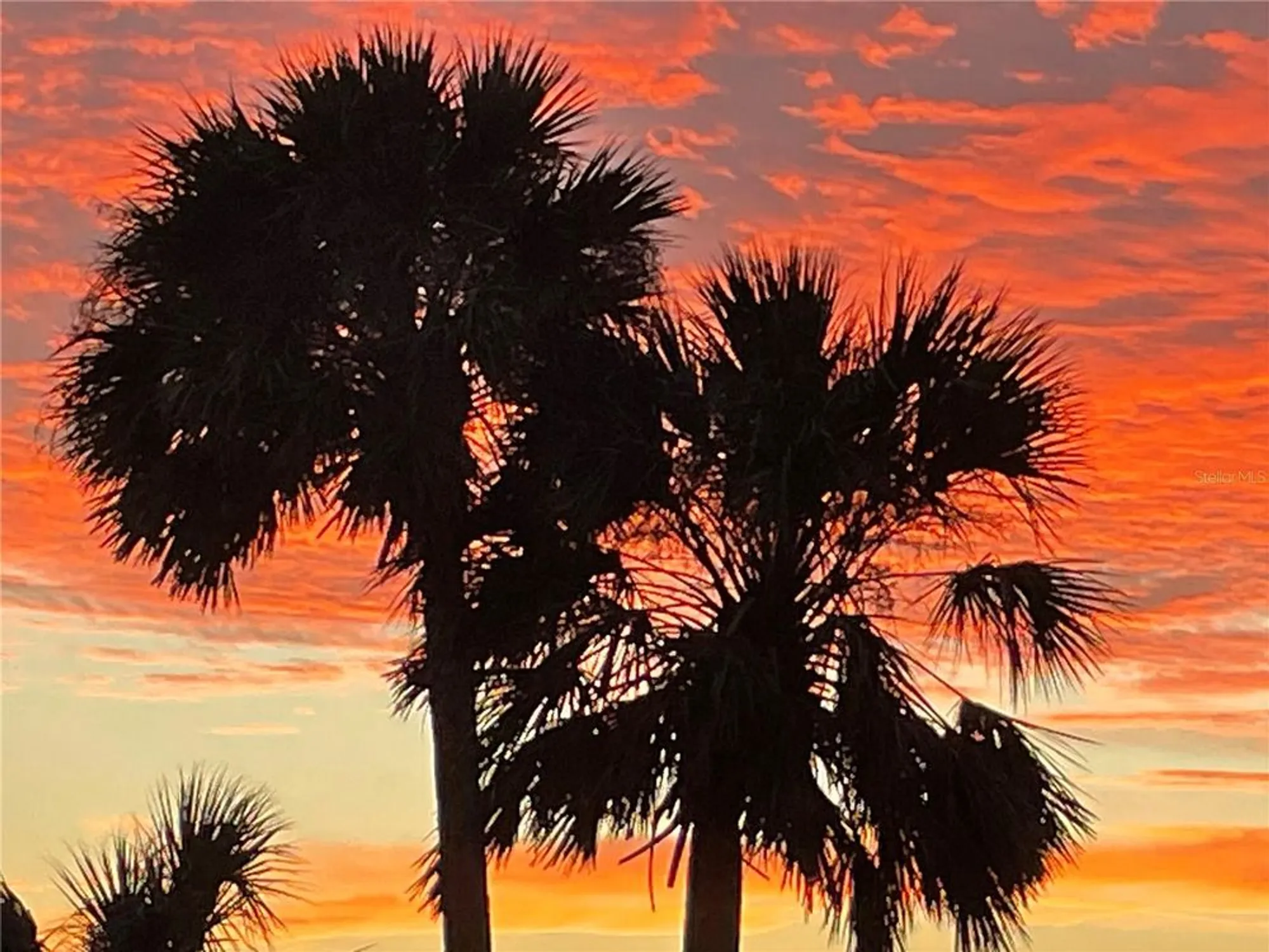 Property Slideshow image 60 of 76 | 425 cerromar ter 359, Venice, FL, 34293