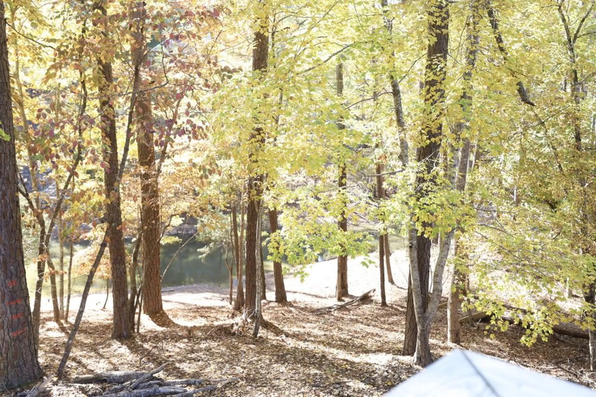 Property Slideshow image 38 of 45 | 170 grandview dr, Mc Cormick, SC, 29835