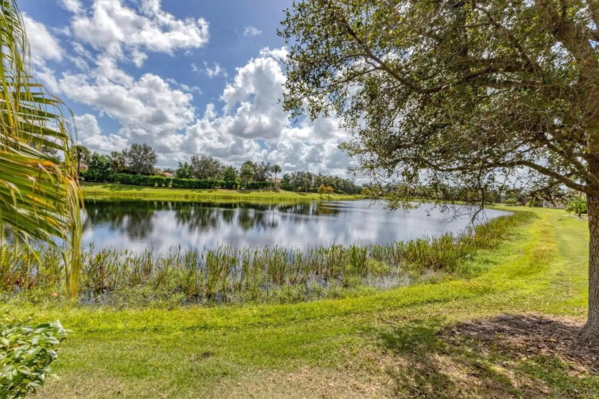 Property Slideshow image 8 of 86 | 13334 torresina ter, Bradenton, FL, 34211