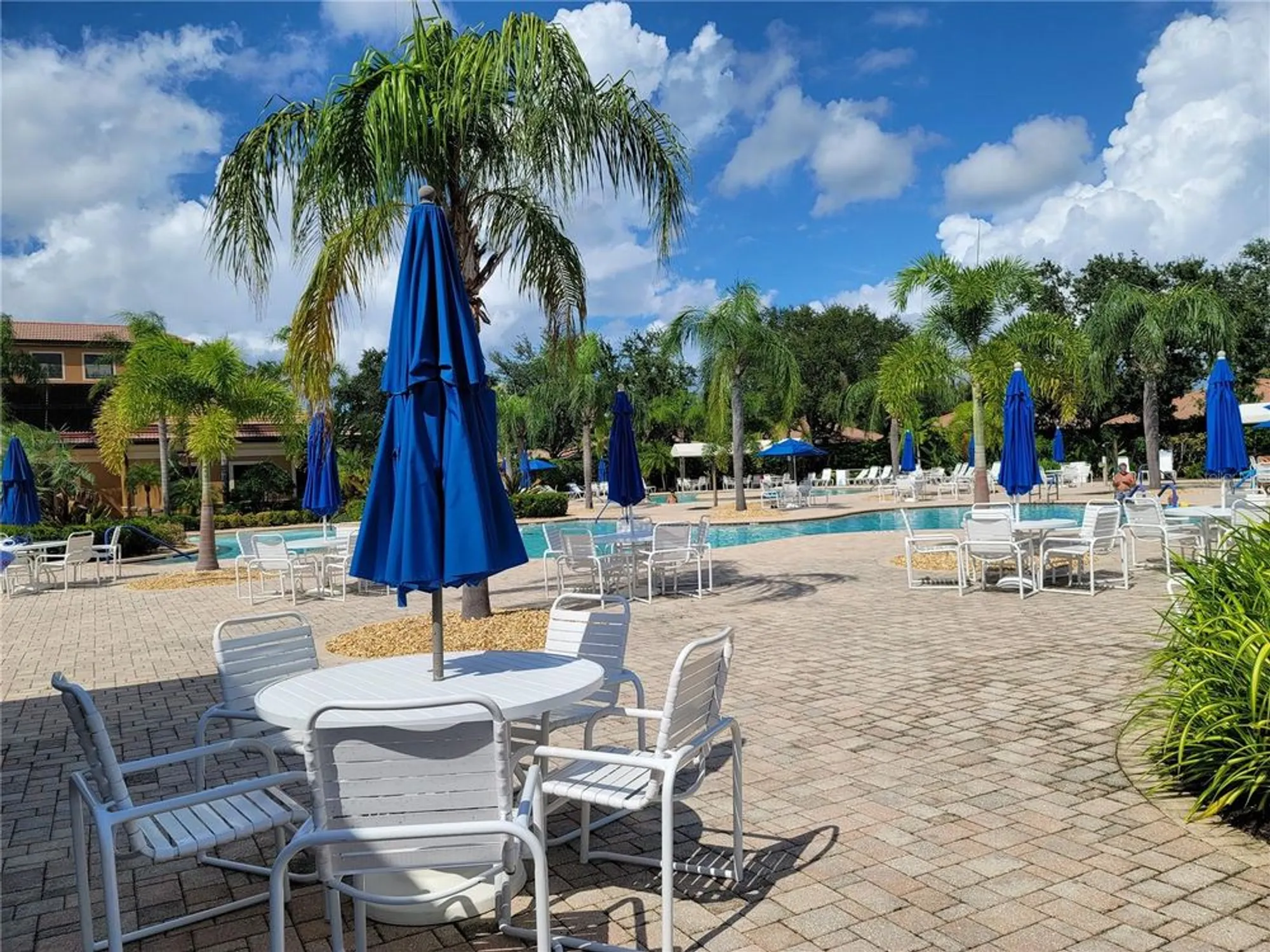 Property Slideshow image 56 of 100 | 303 bluewater falls ct, Apollo Beach, FL, 33572