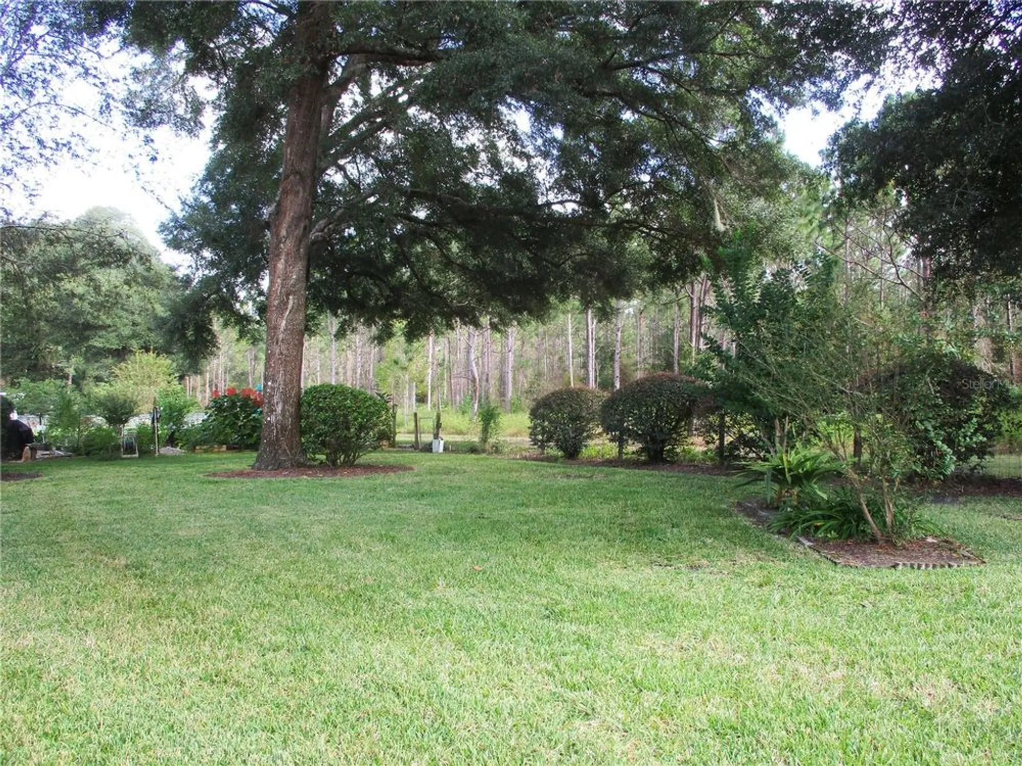Property Slideshow image 2 of 89 | 14272 sw 112th cir, Dunnellon, FL, 34432