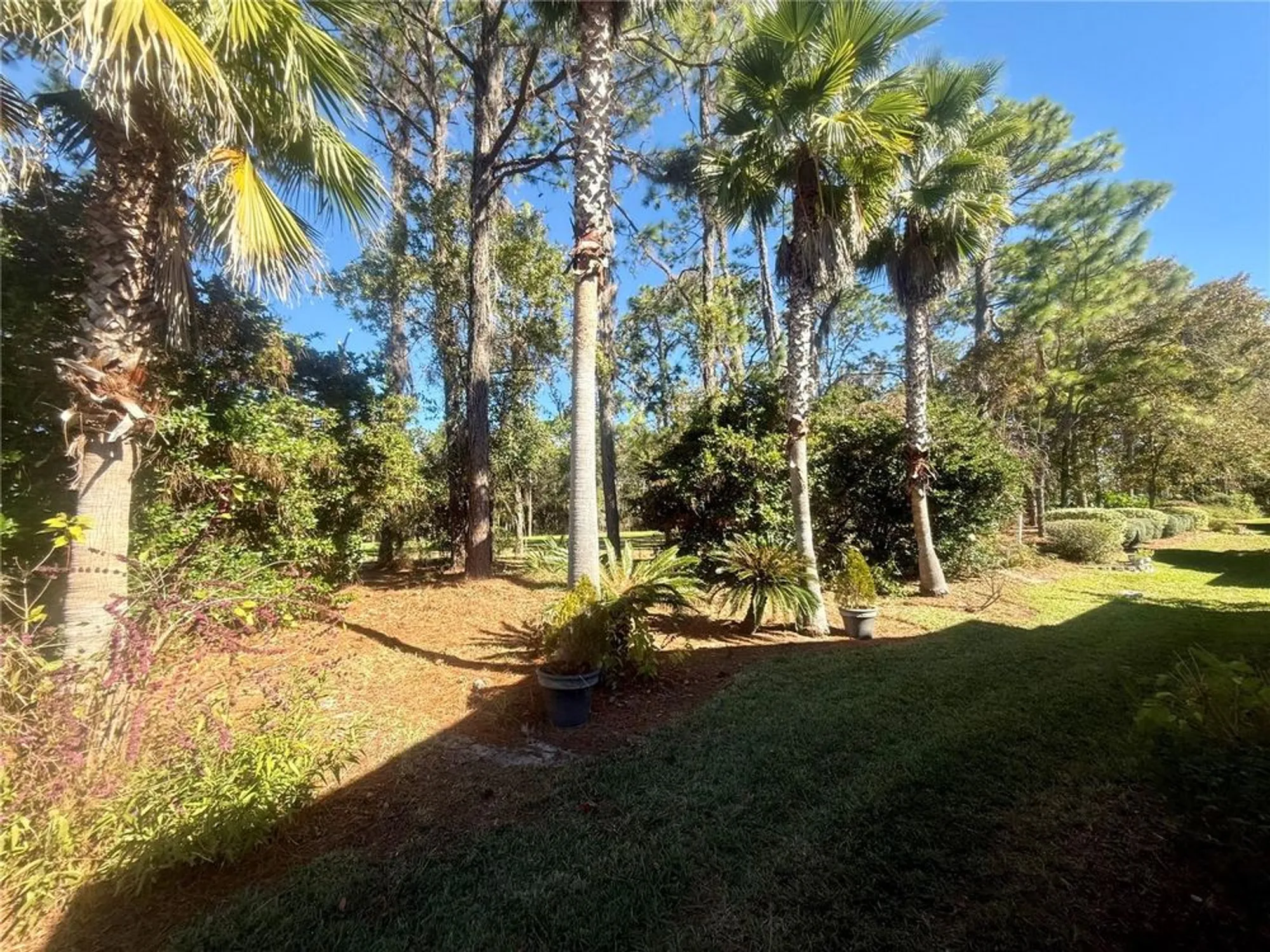 Property Slideshow image 50 of 66 | 11621 sw 72nd cir, Ocala, FL, 34476