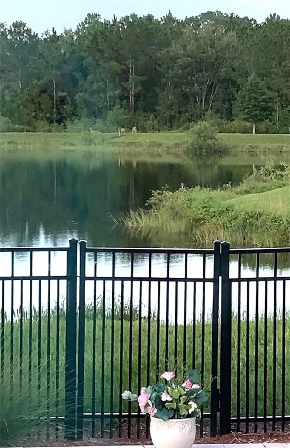 Property Slideshow image 33 of 51 | 3426 sagebrush st, Harmony, FL, 34773