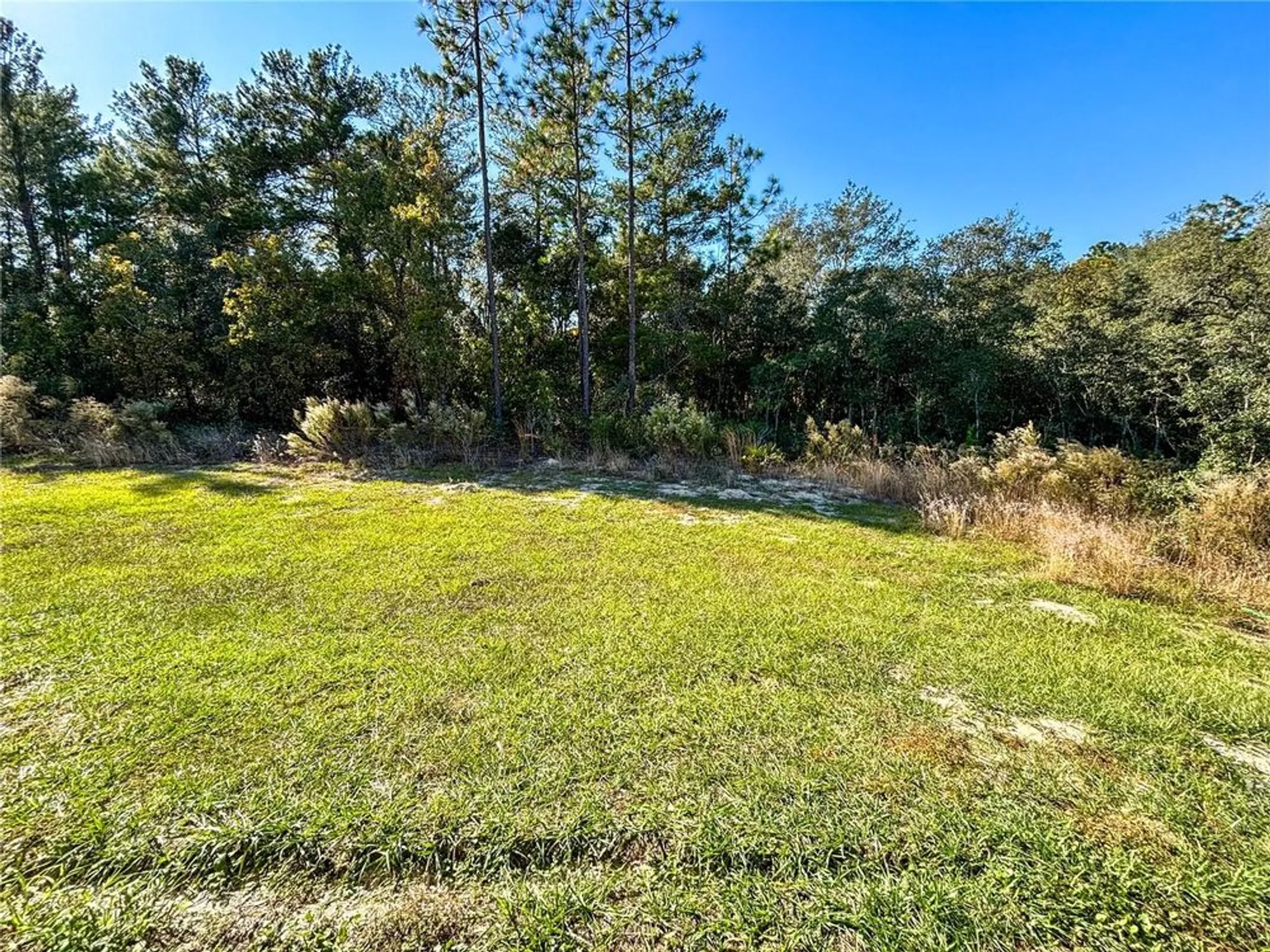 Property Slideshow image 77 of 83 | 14870 sw 63rd court rd, Ocala, FL, 34473