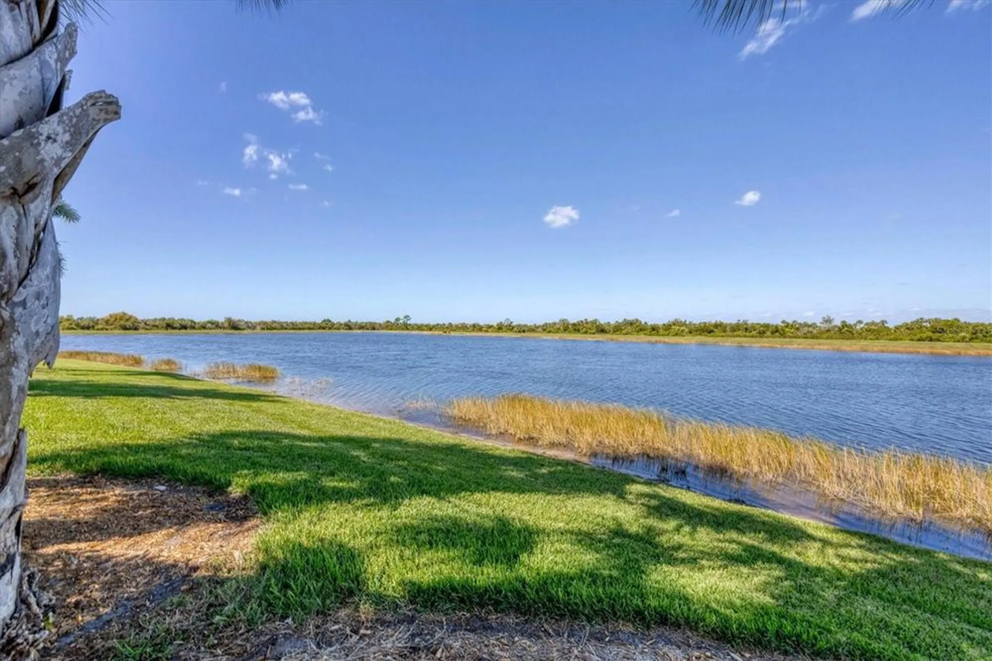 Property Slideshow image 23 of 82 | 23787 waverly cir, Venice, FL, 34293