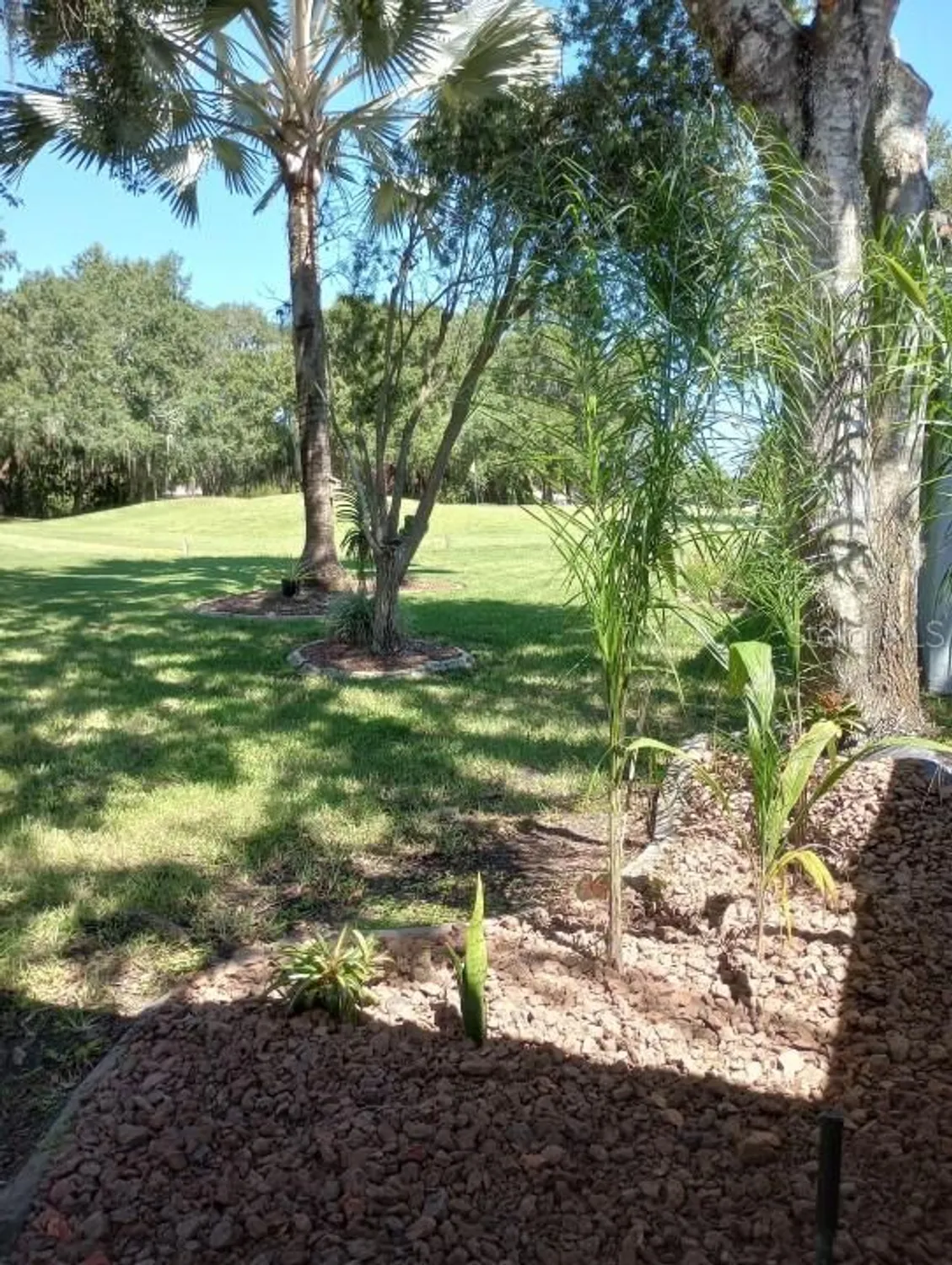 Property Slideshow image 16 of 33 | 32525 oak park dr, Leesburg, FL, 34748