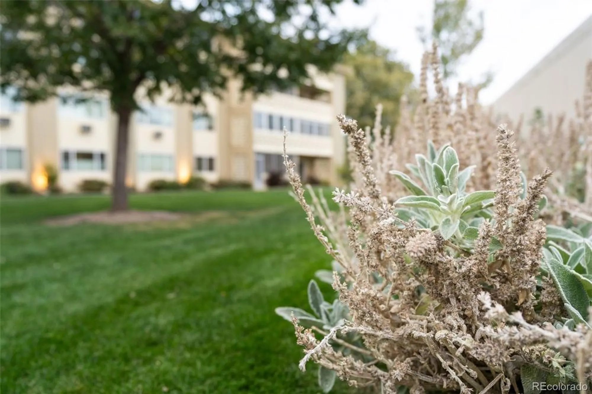 Property Slideshow image 28 of 31 | 650 s alton way apt 10c, Denver, CO, 80247