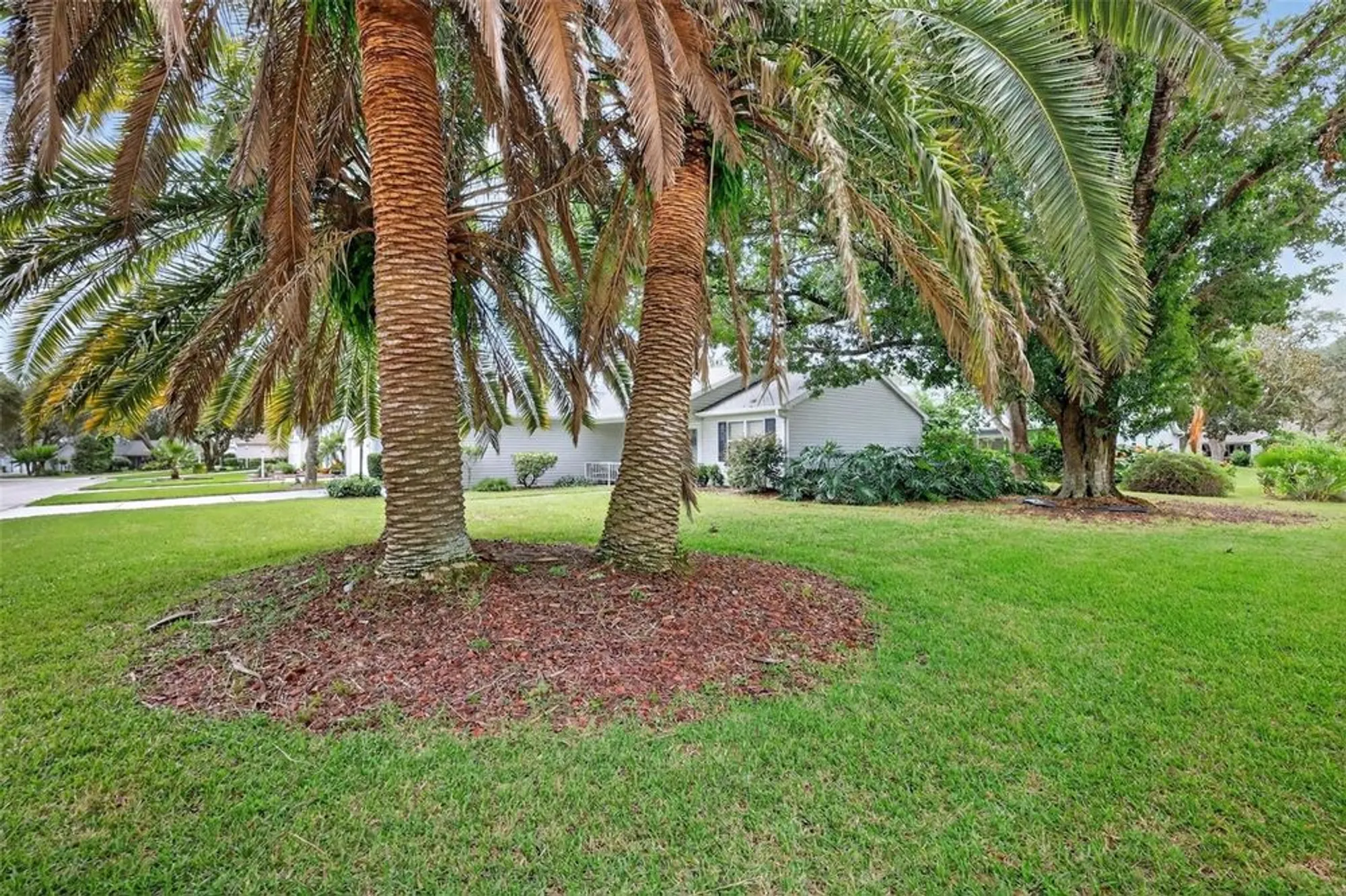 Property Slideshow image 26 of 31 | 220 palermo pl, The Villages, FL, 32159