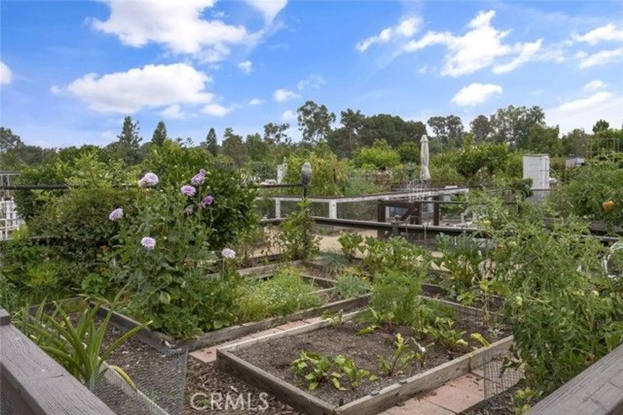 Property Slideshow image 42 of 47 | 28041 via machado, Mission Viejo, CA, 92692