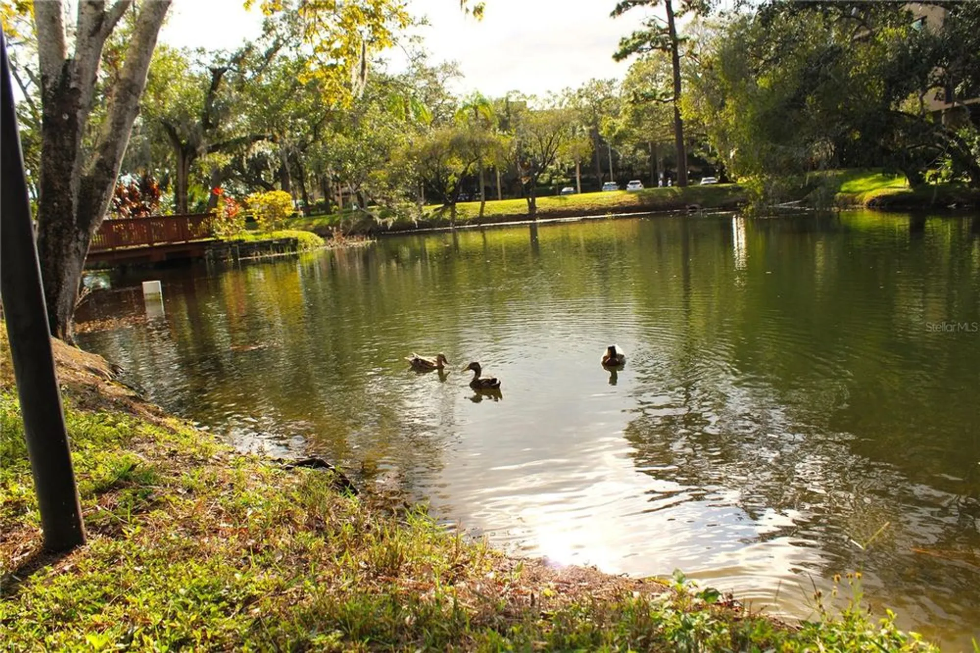 Property Slideshow image 53 of 65 | 3076 eastland blvd 106, Clearwater, FL, 33761